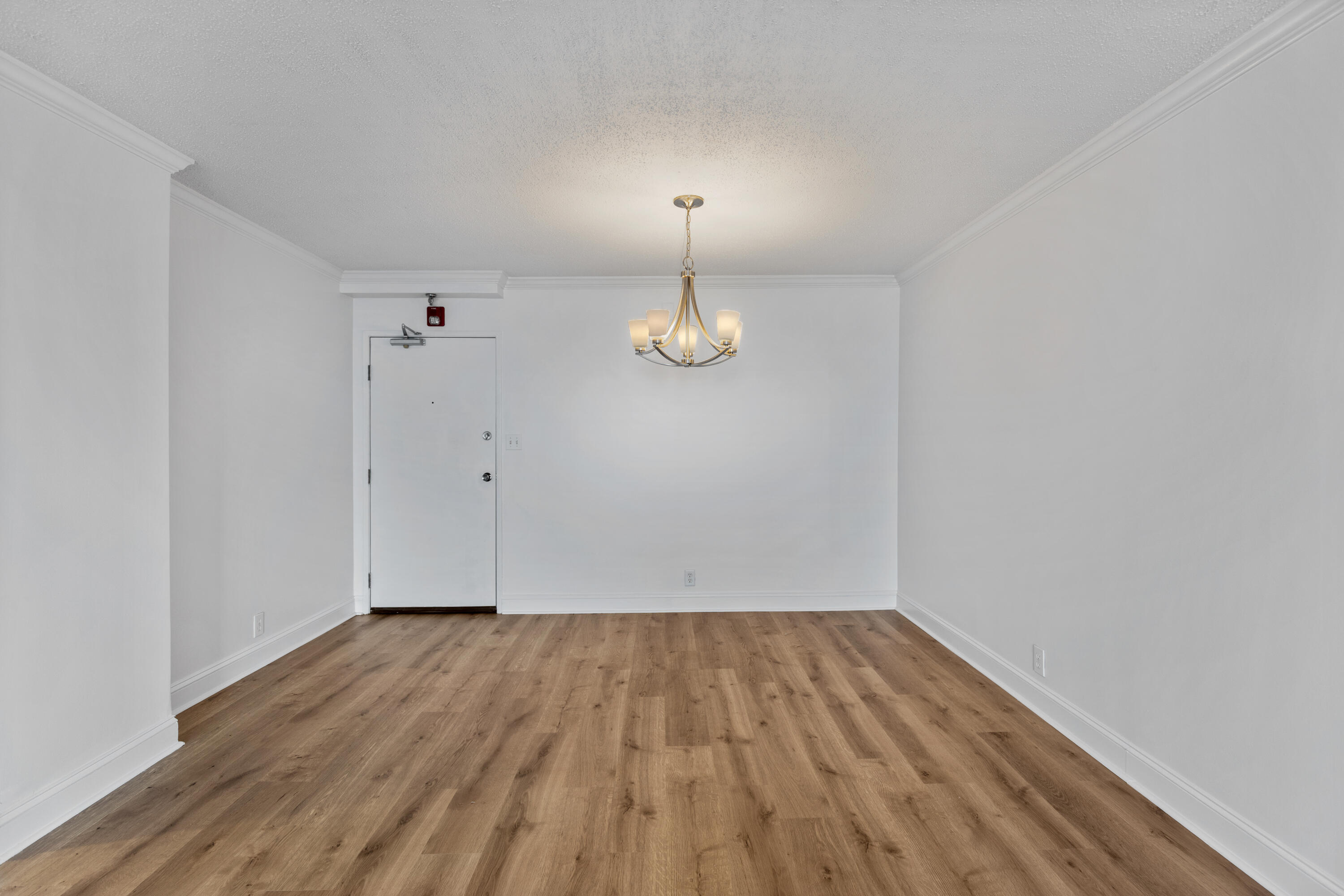 1131 Stringers Ridge Road, 11g