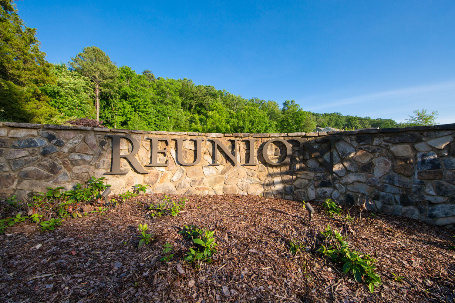 8650 Homecoming Drive