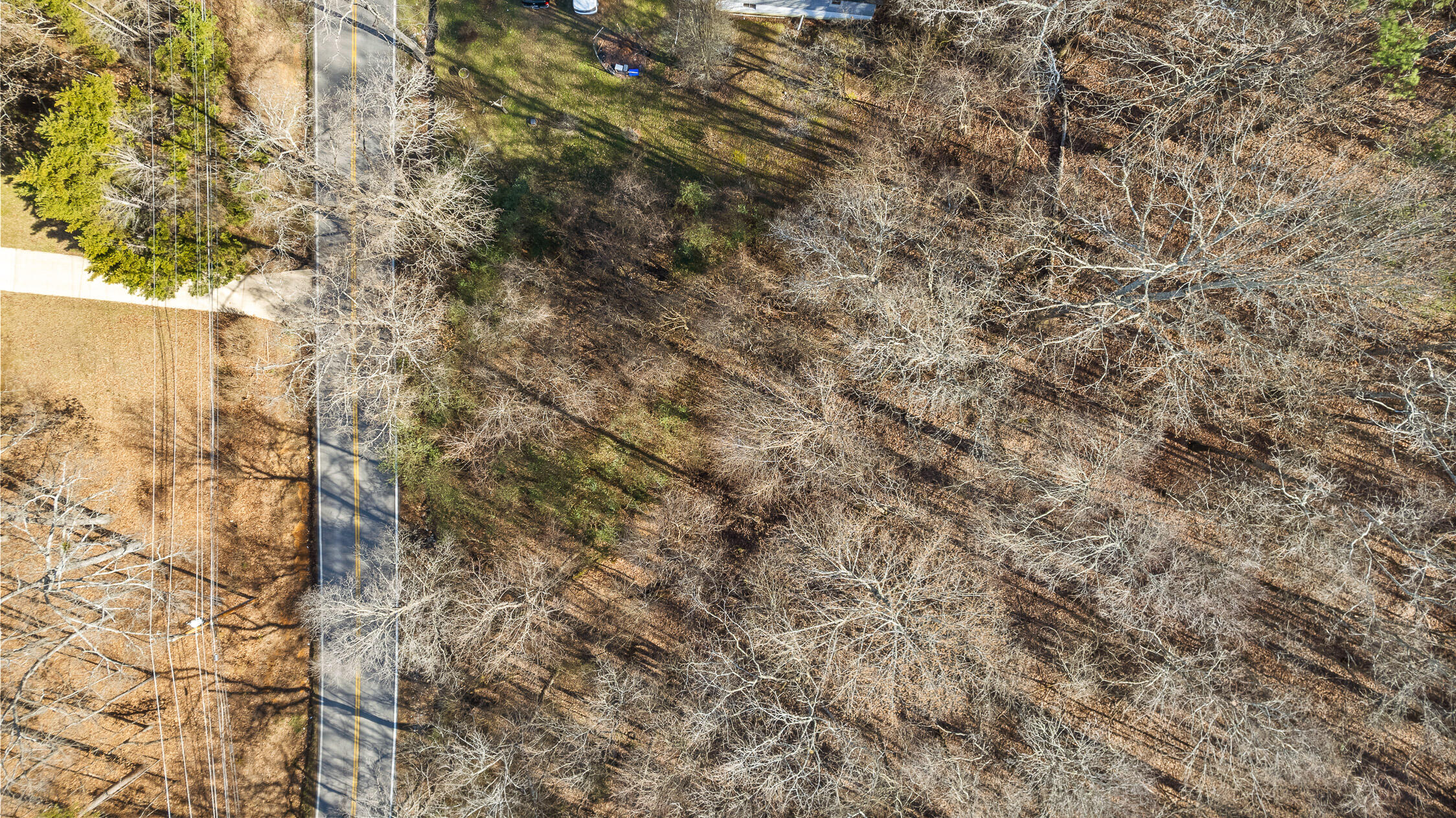 698 Green Pond Road