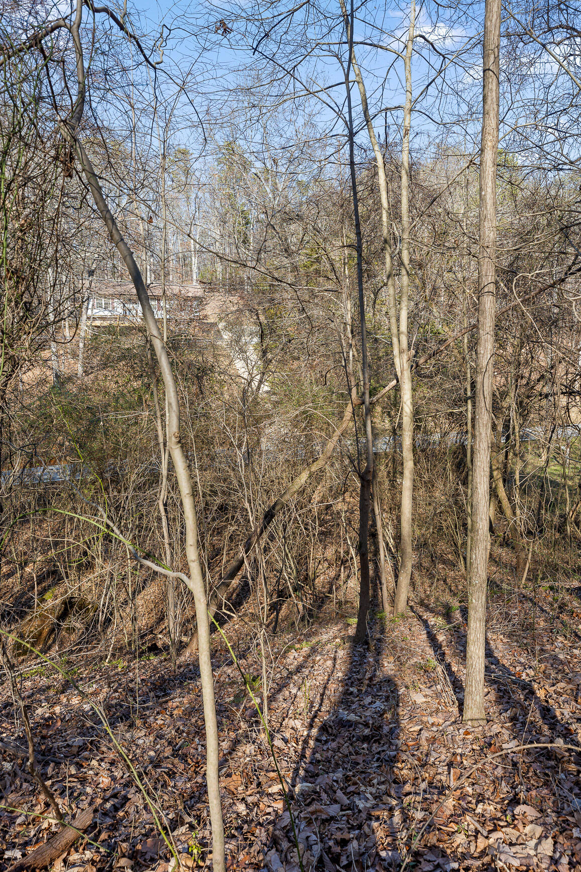 698 Green Pond Road