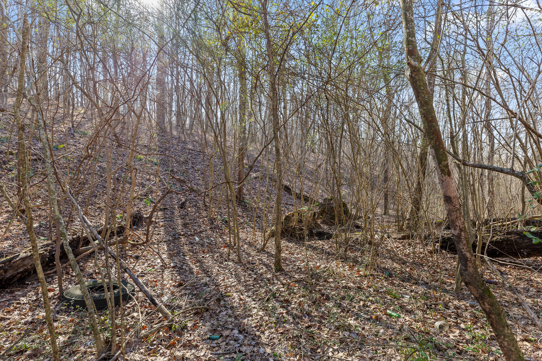 698 Green Pond Road