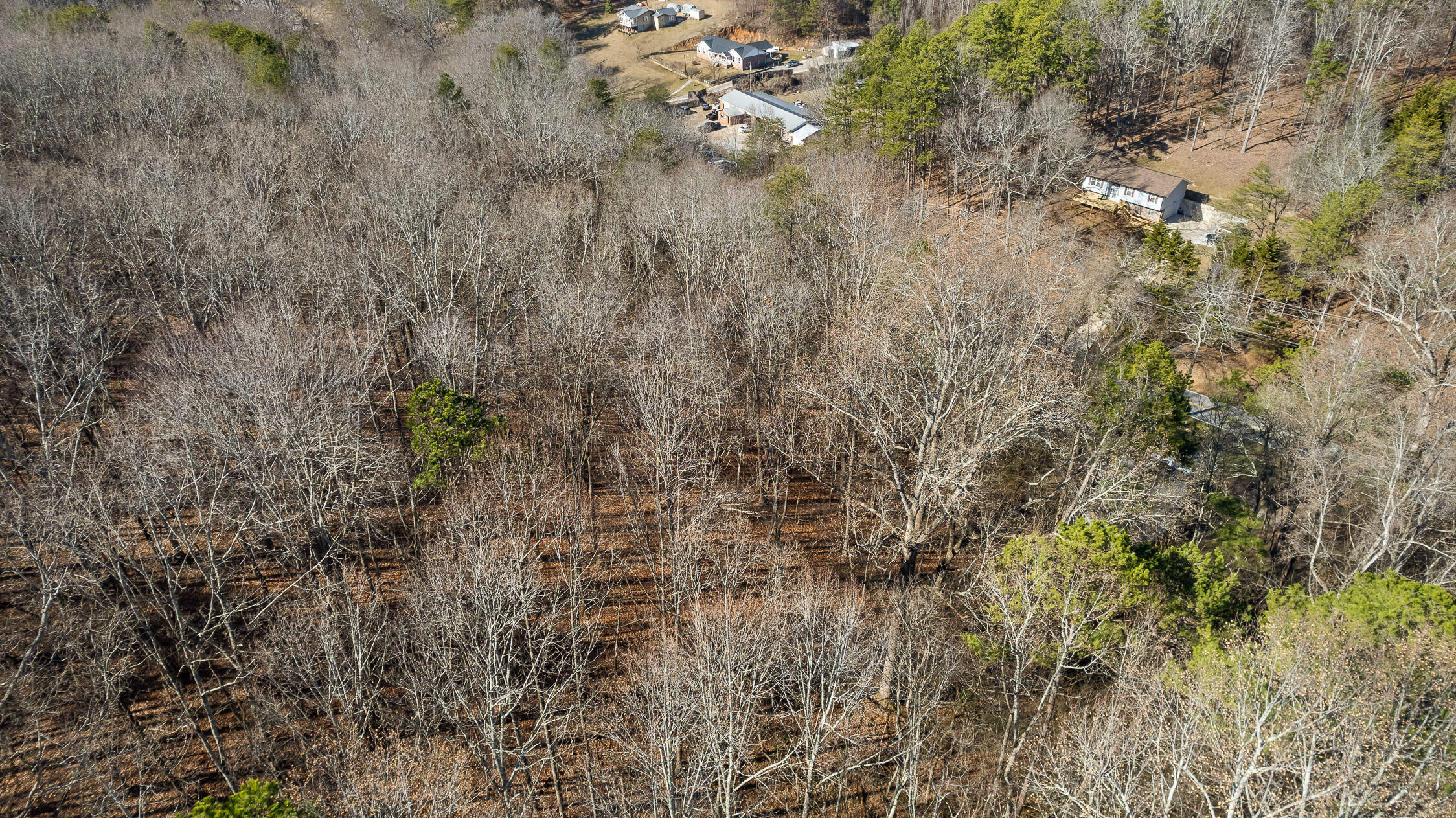 698 Green Pond Road