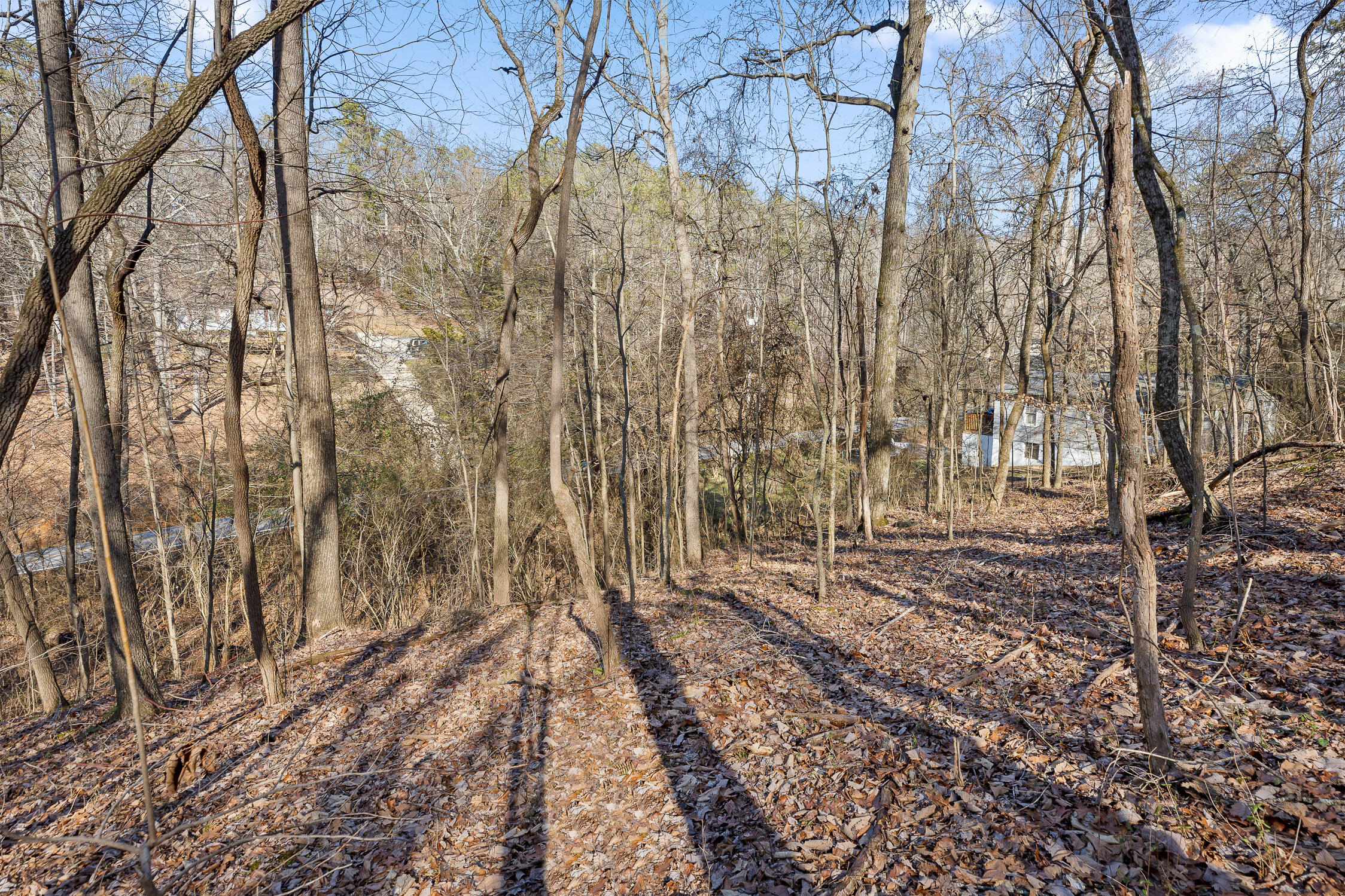 698 Green Pond Road