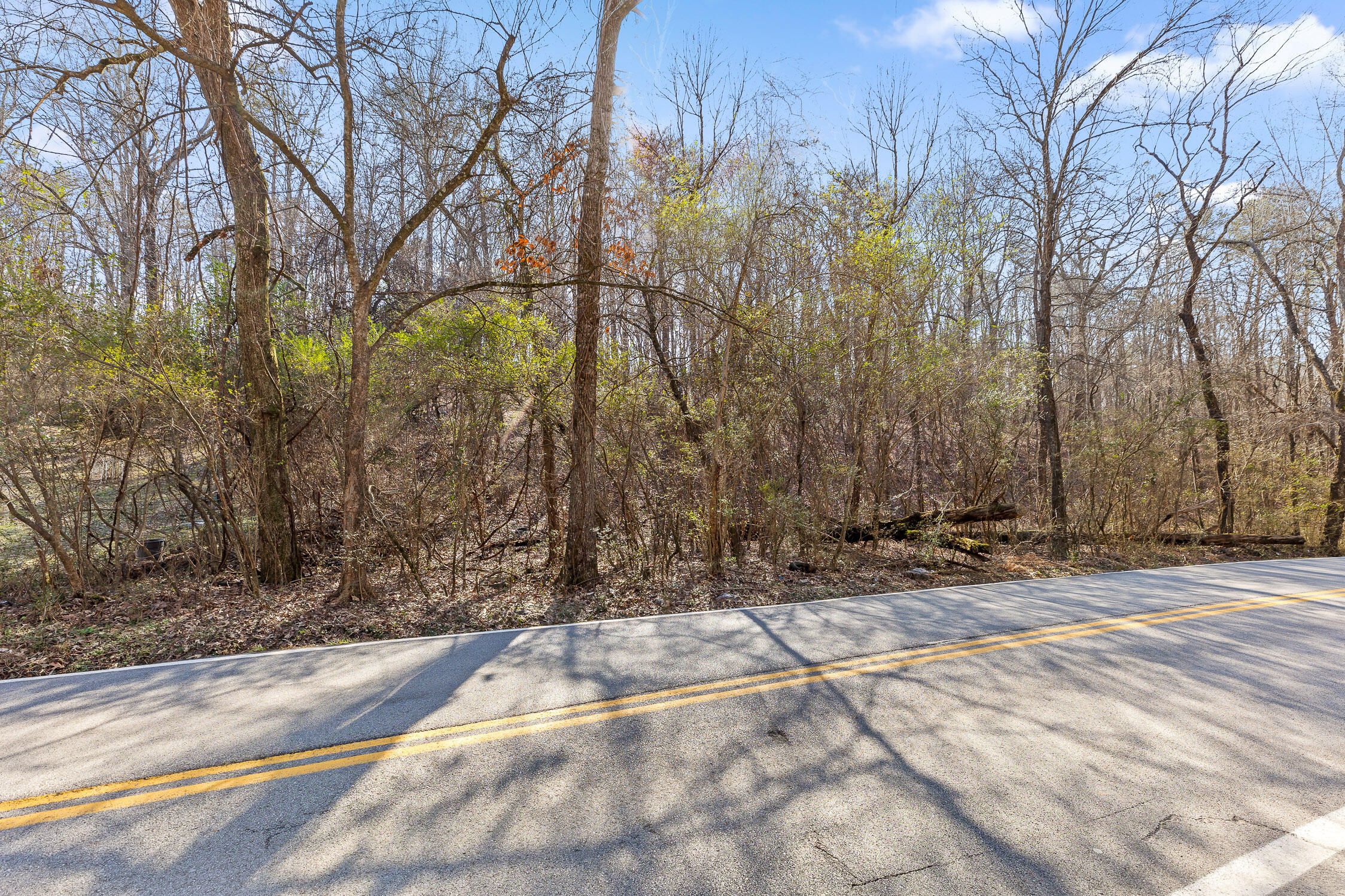 698 Green Pond Road