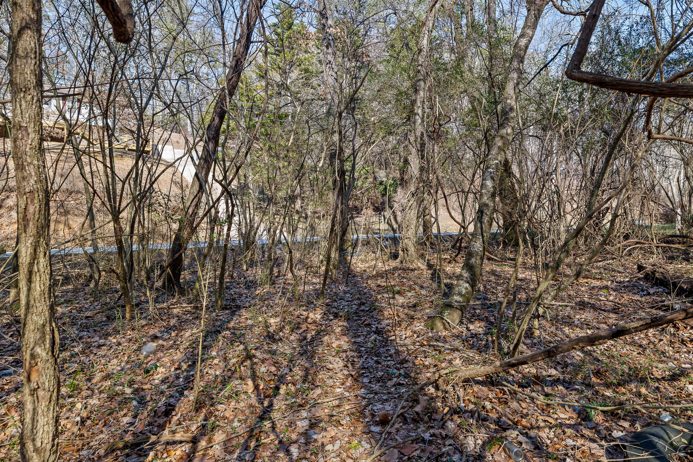 698 Green Pond Road