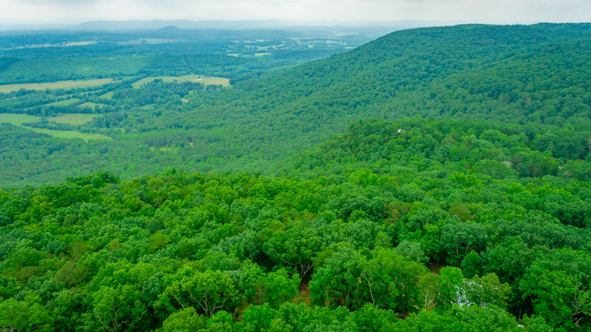 237 County Road 844