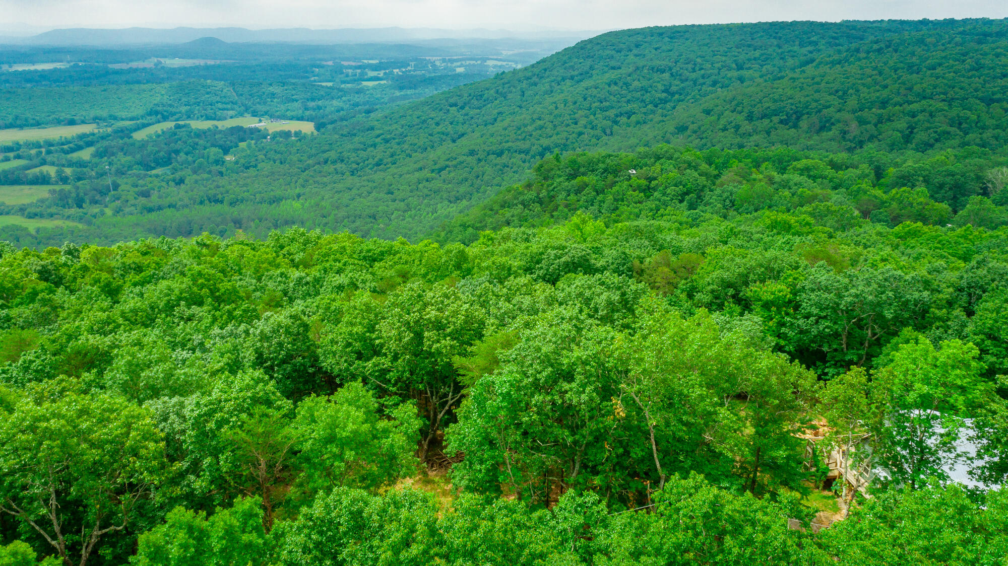 237 County Road 844