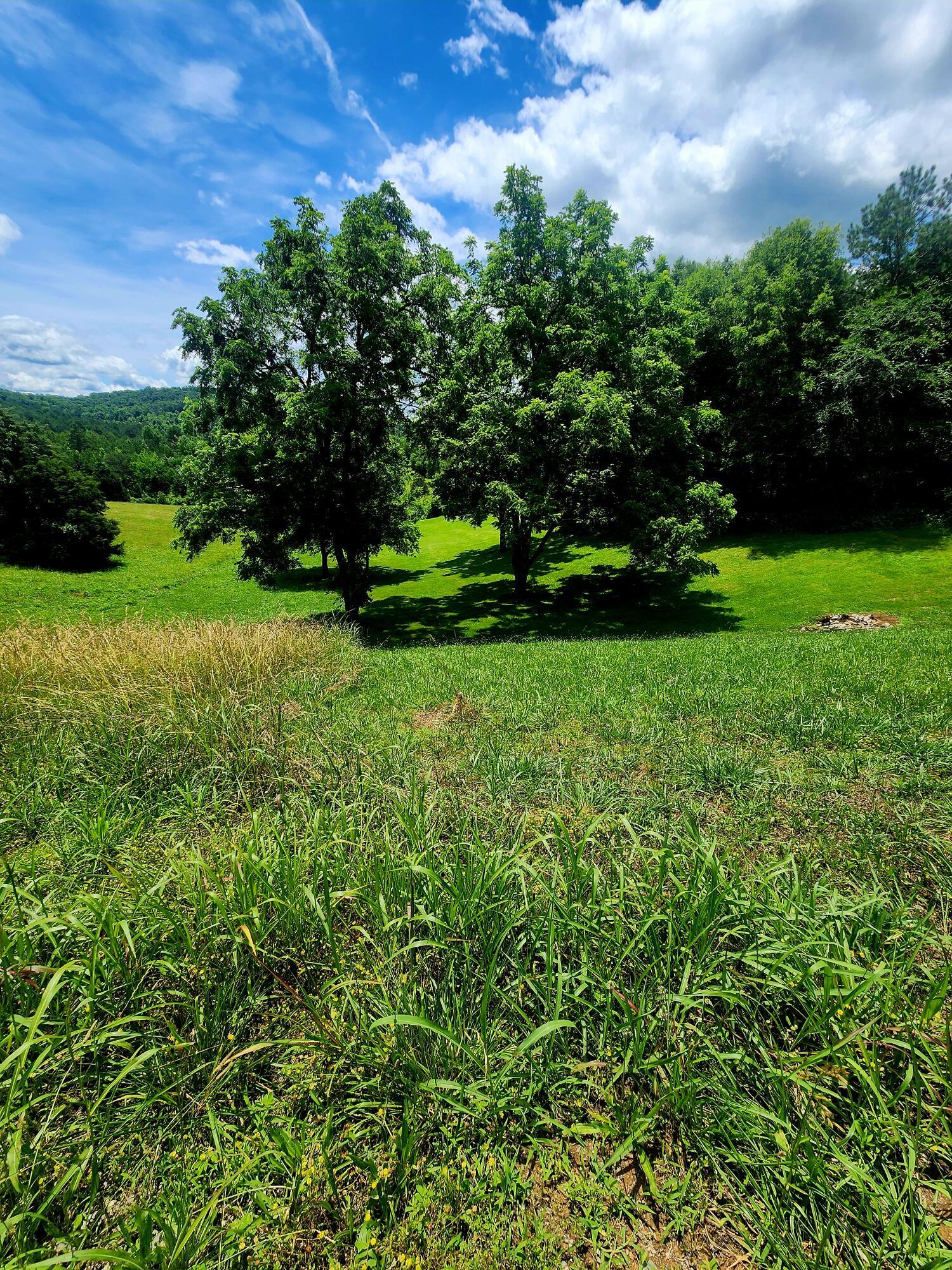 0 Goodfield Terrace, 25