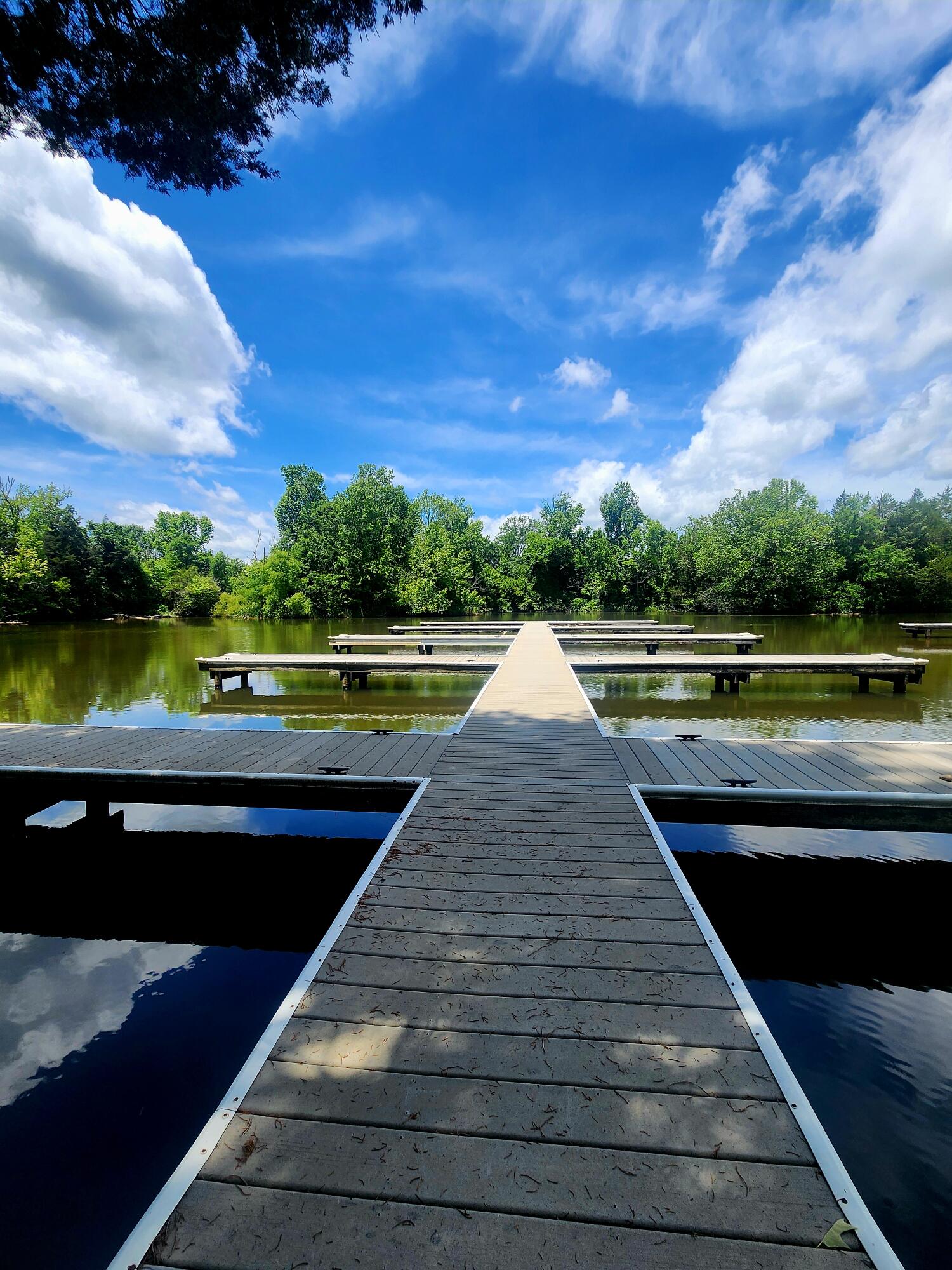 0 Goodfield Terrace, 25