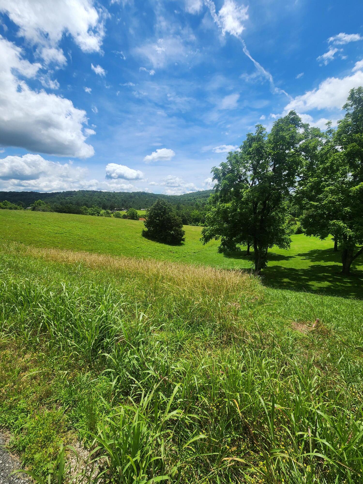 0 Goodfield Terrace, 25