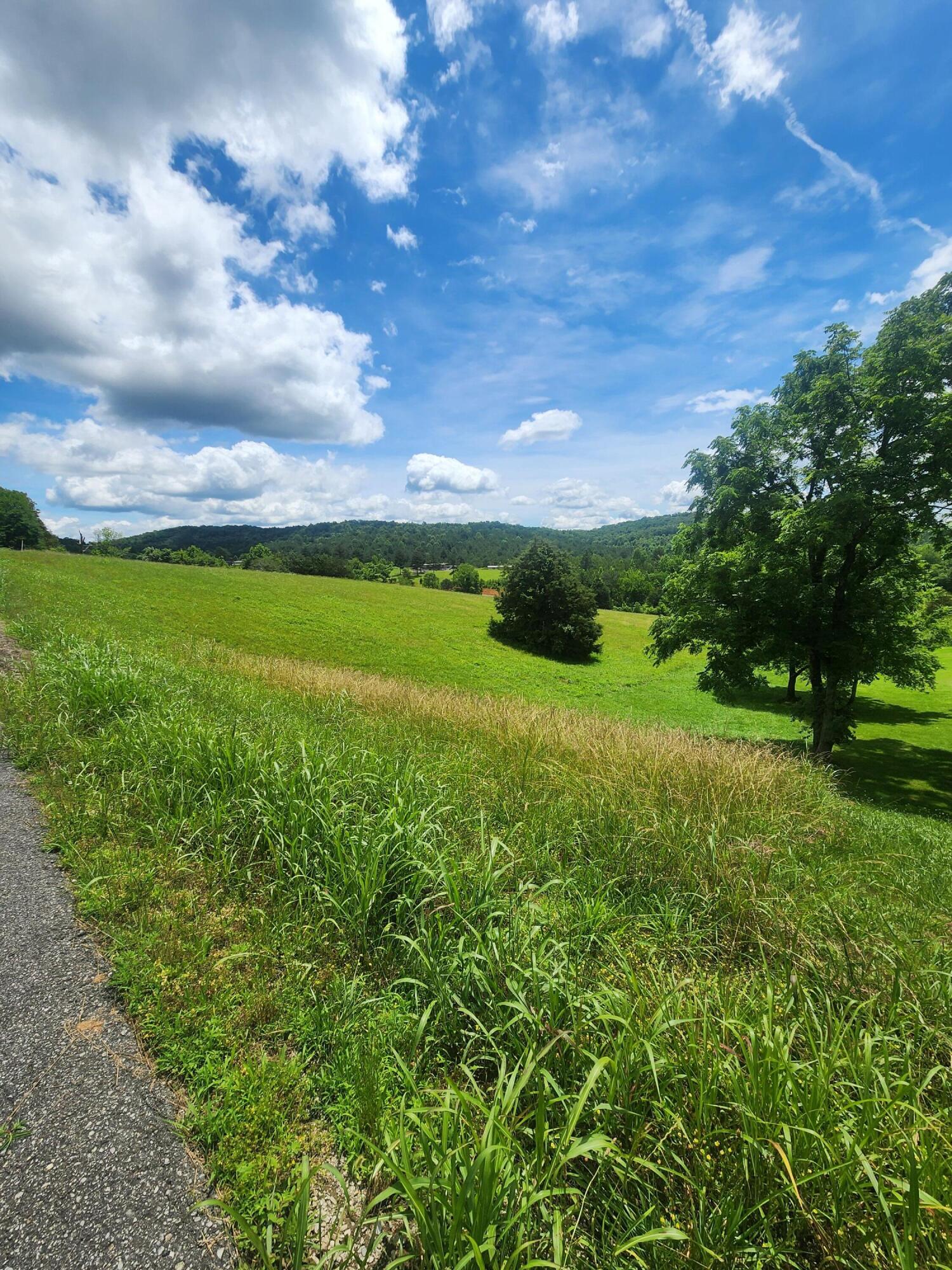 0 Goodfield Terrace, 25