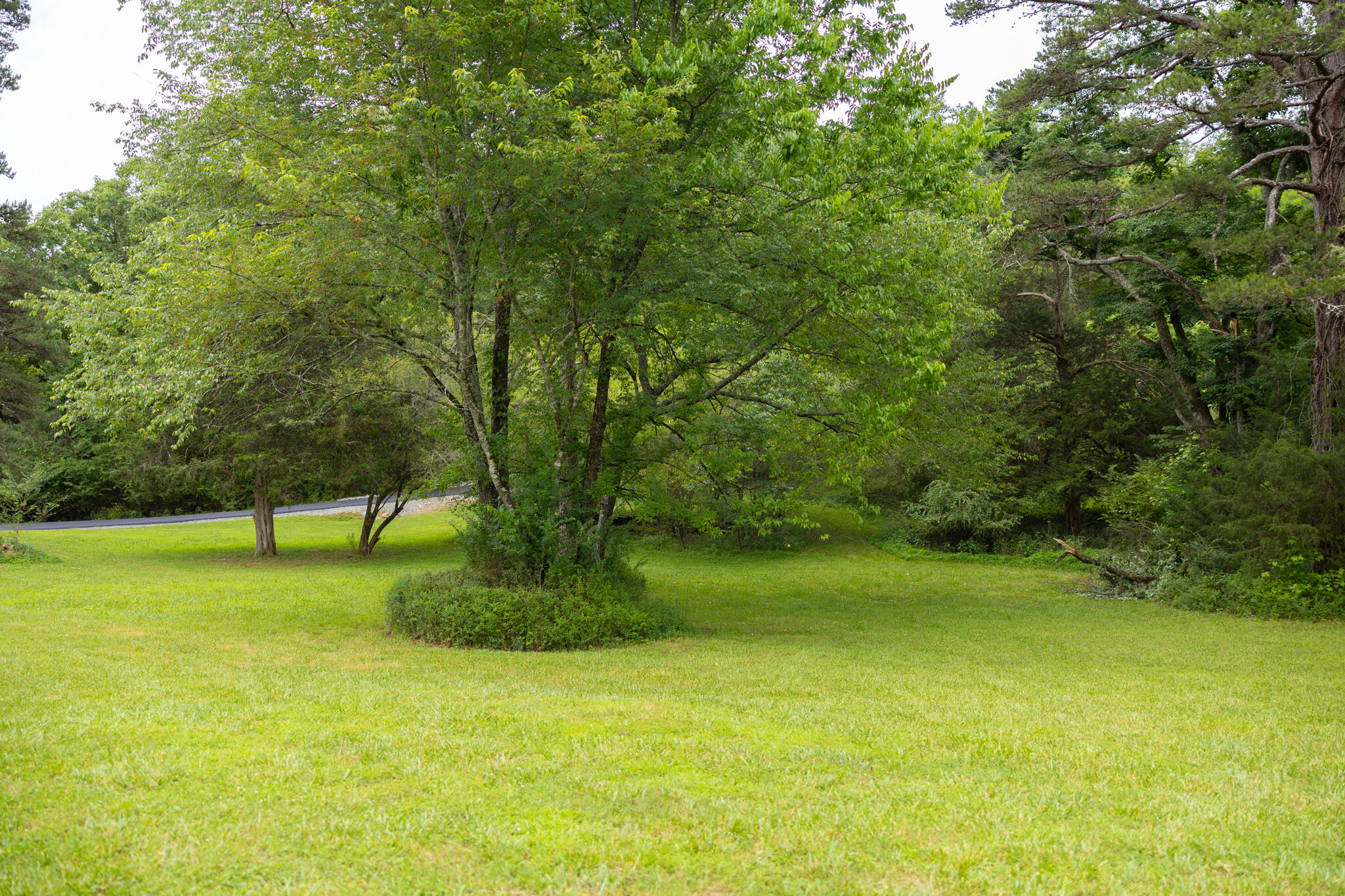 11249 Possum Trail Road
