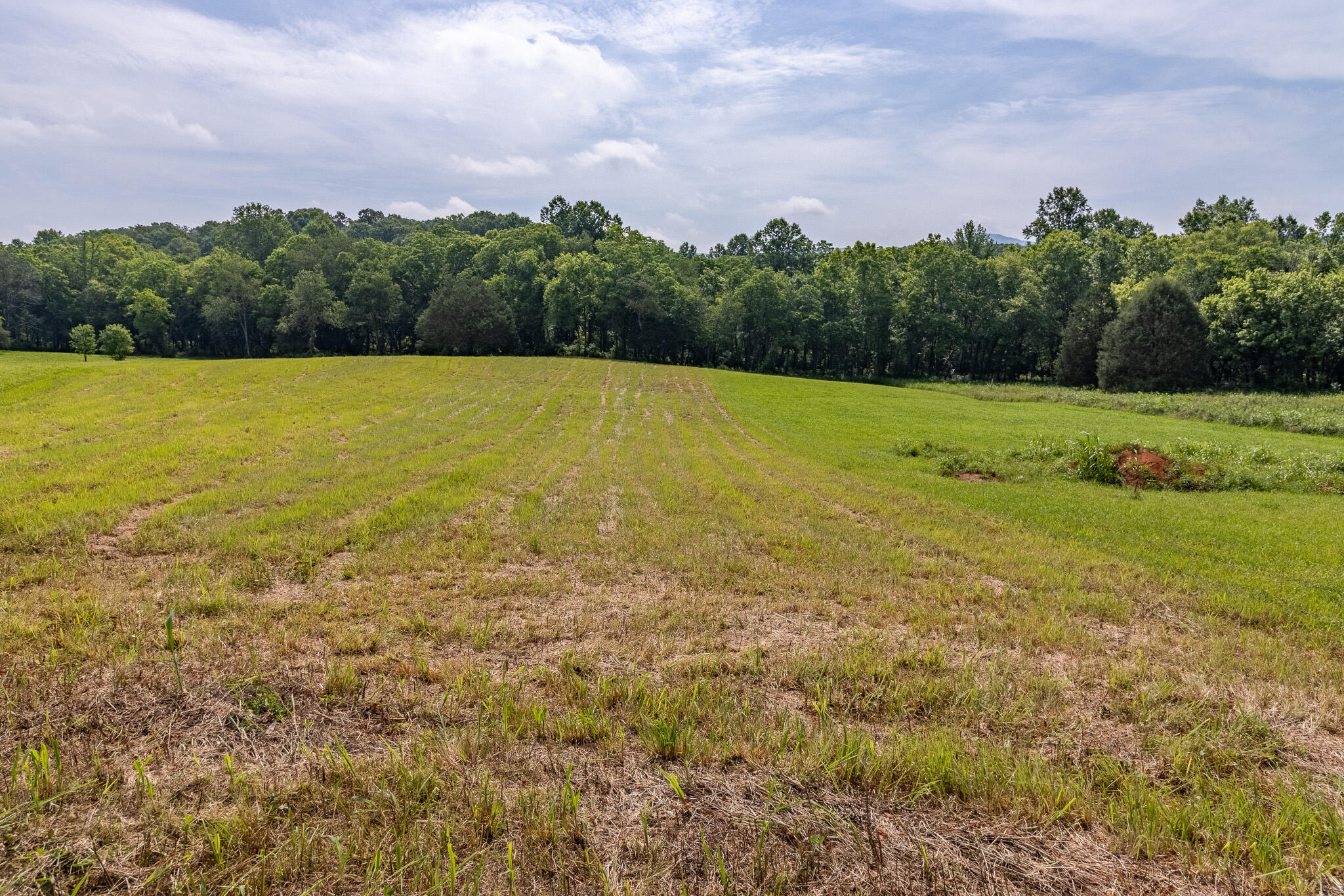 Lot 45 Dry Branch Way