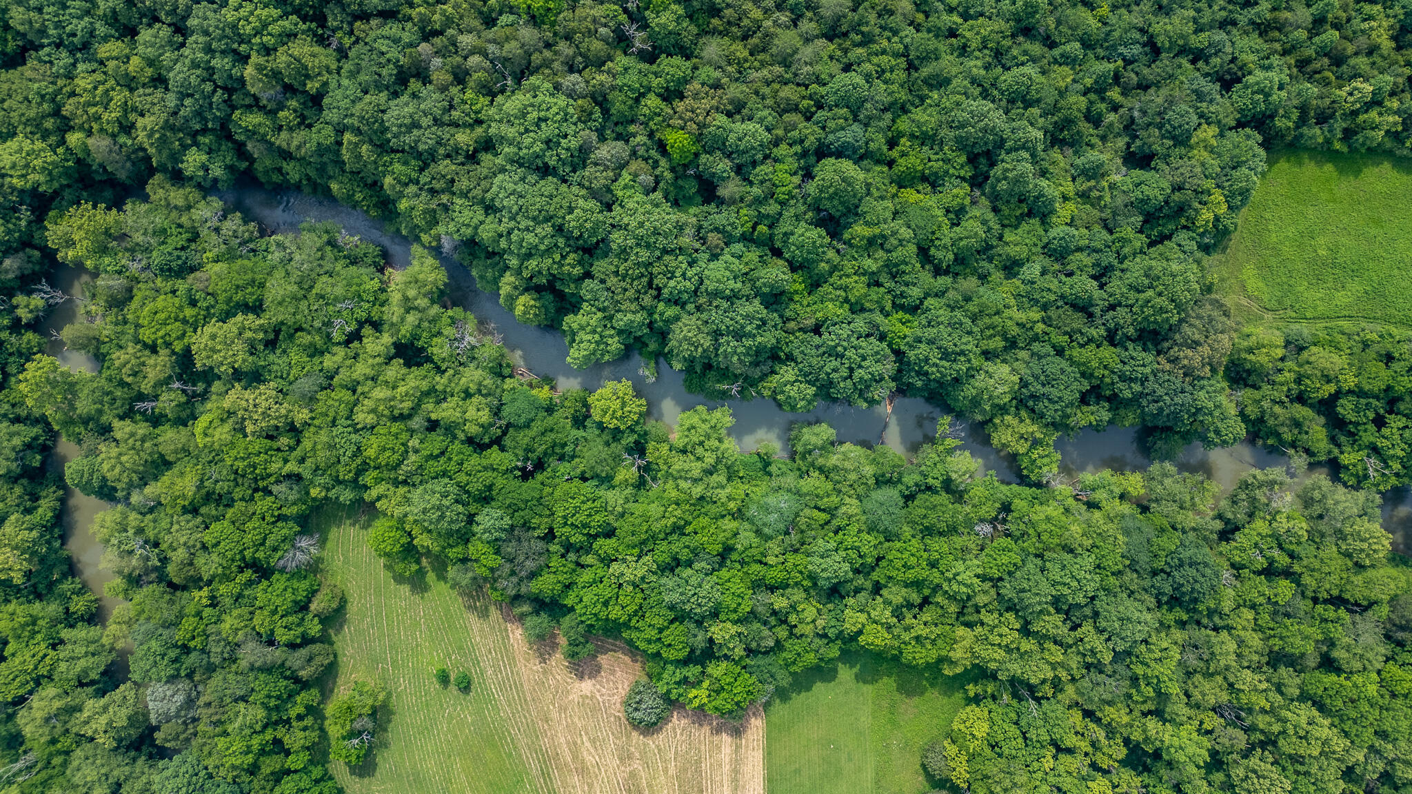 Lot 45 Dry Branch Way