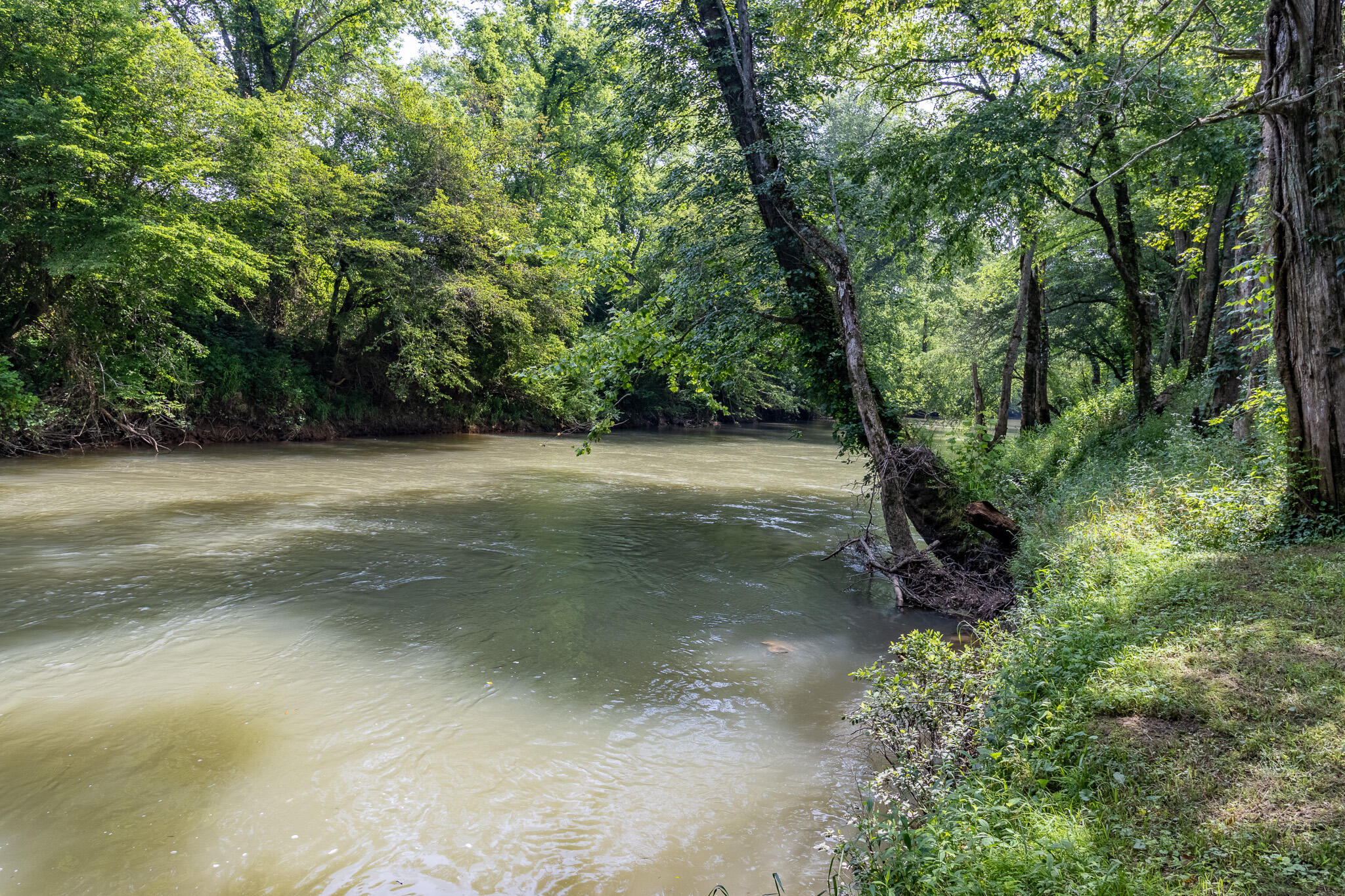 Lot 45 Dry Branch Way