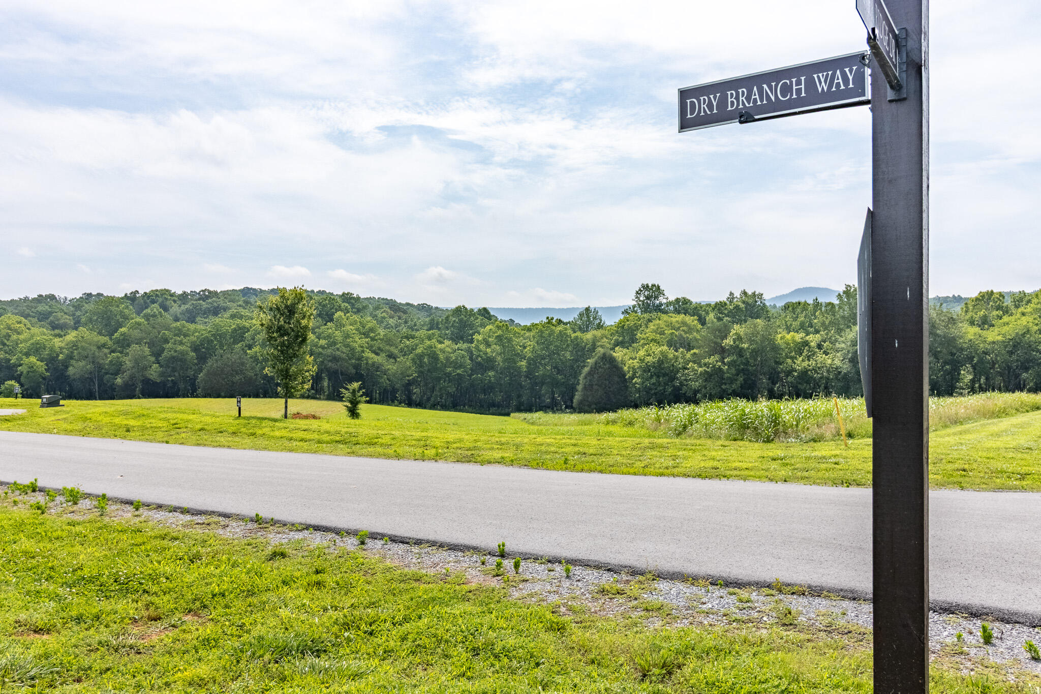 Lot 45 Dry Branch Way