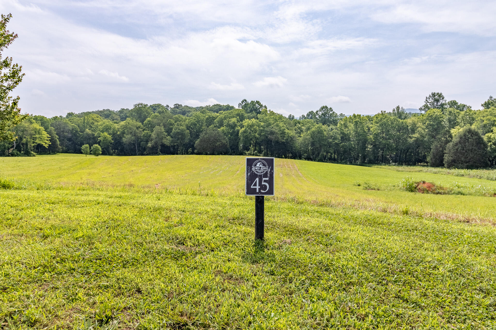 Lot 45 Dry Branch Way