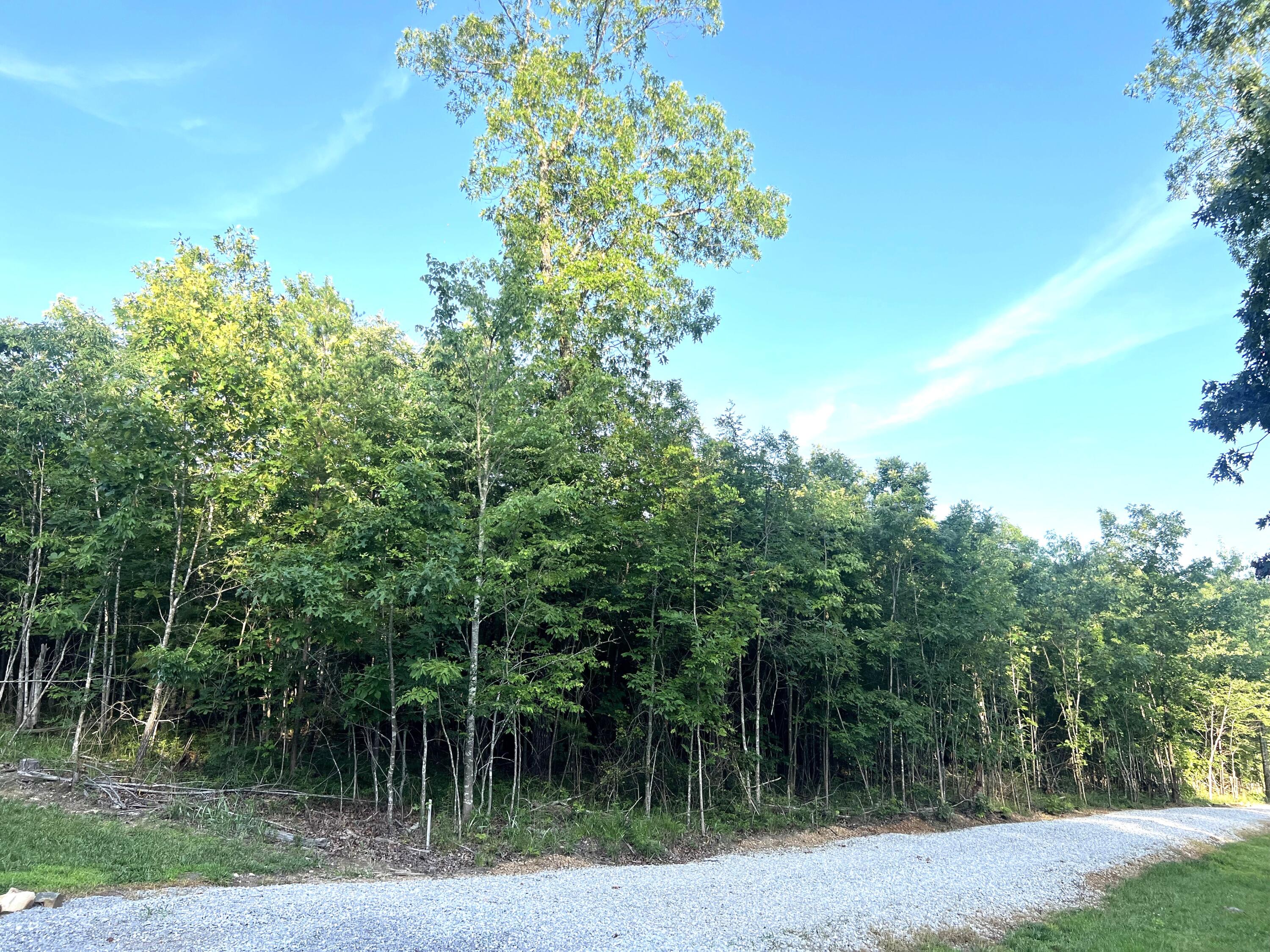 0 Salolee Circle, Lot 261