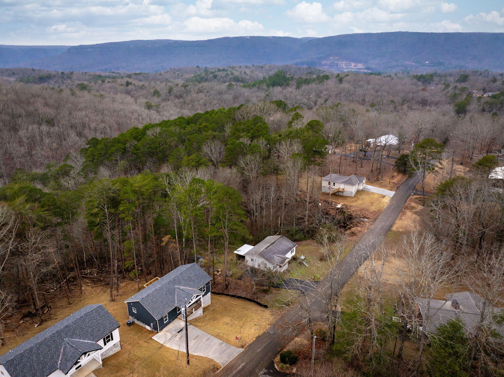 241 Dogwood Lane