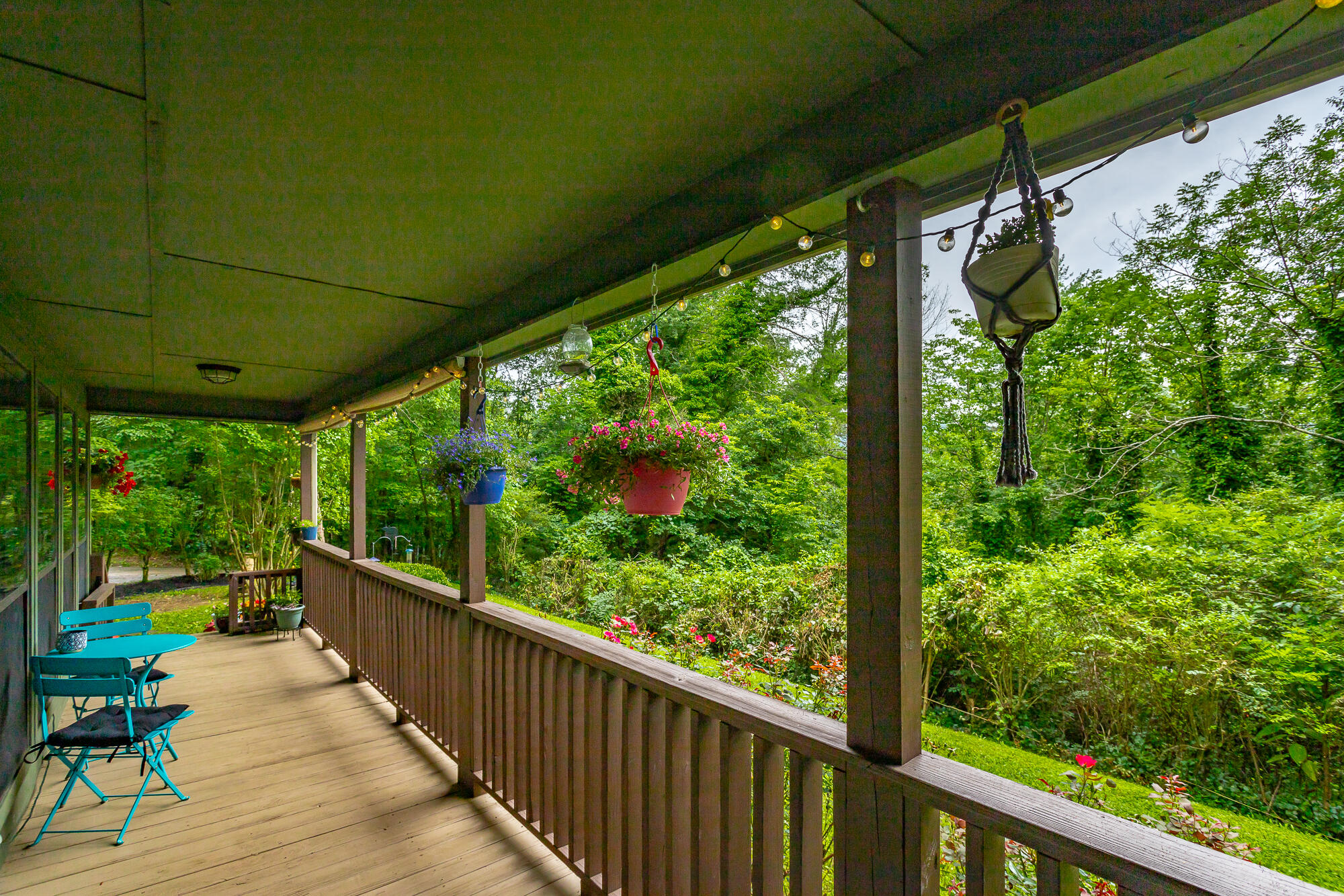 45 Daisy Lane