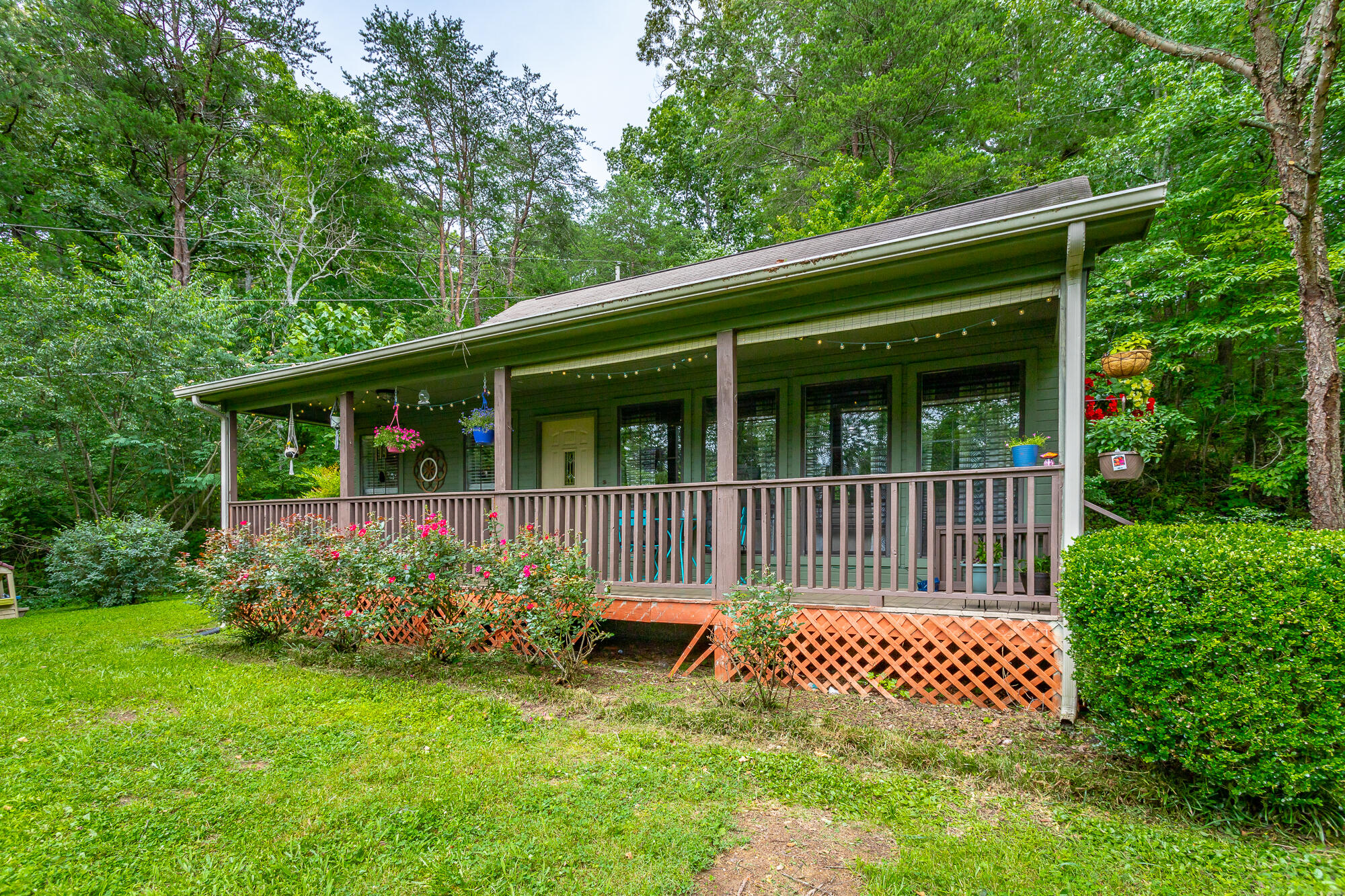 45 Daisy Lane