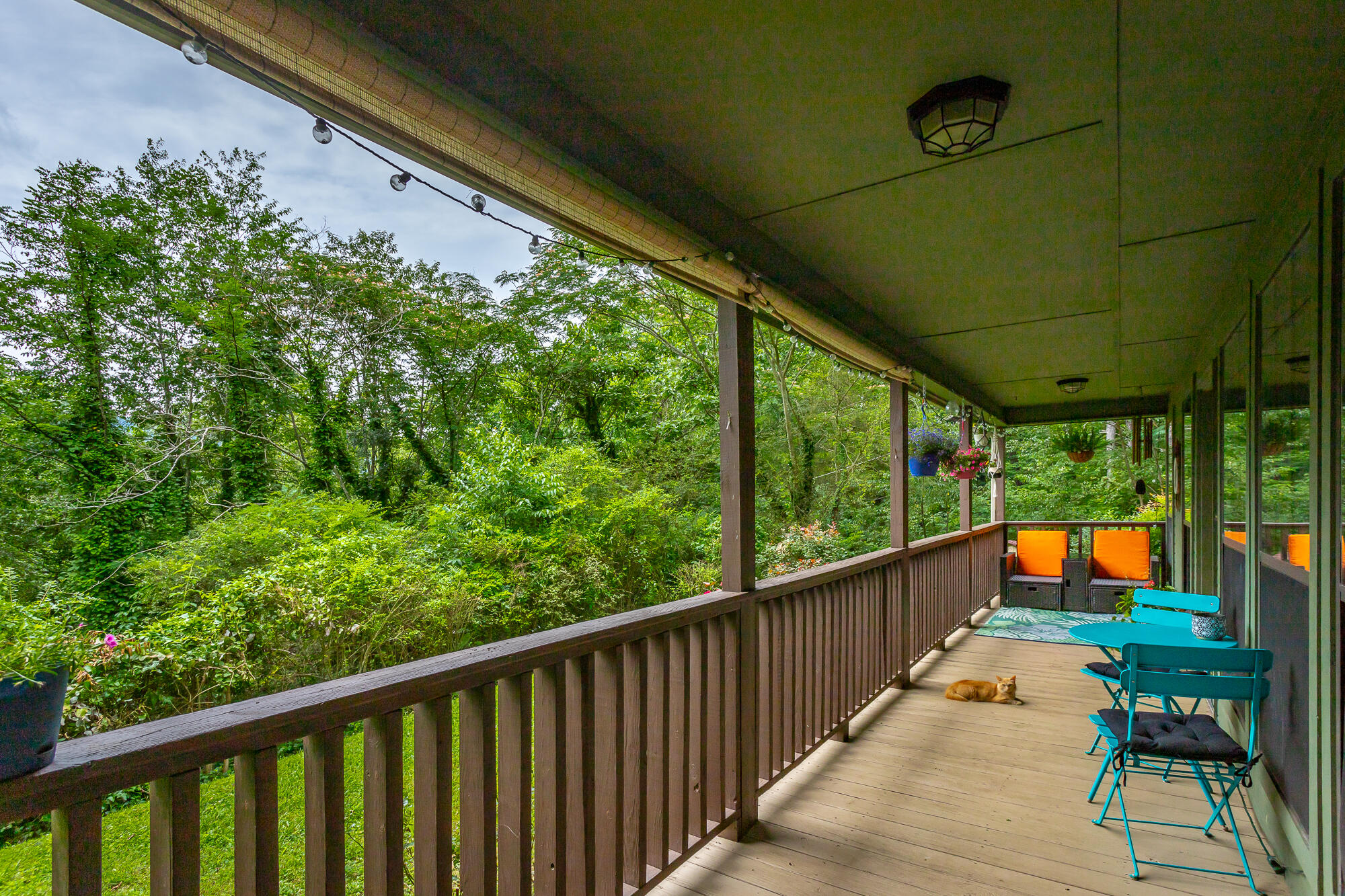 45 Daisy Lane