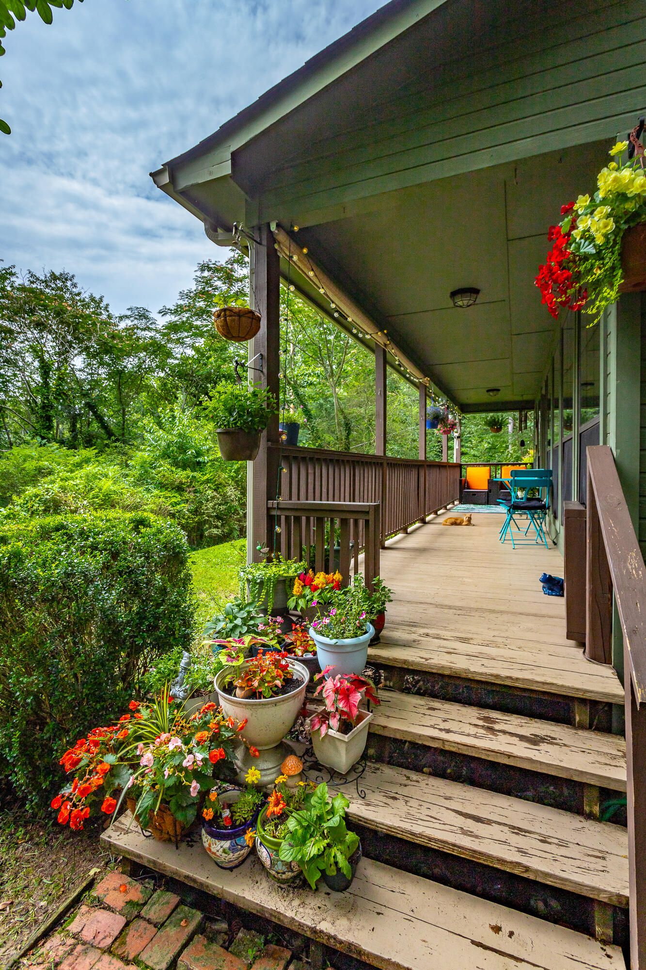 45 Daisy Lane