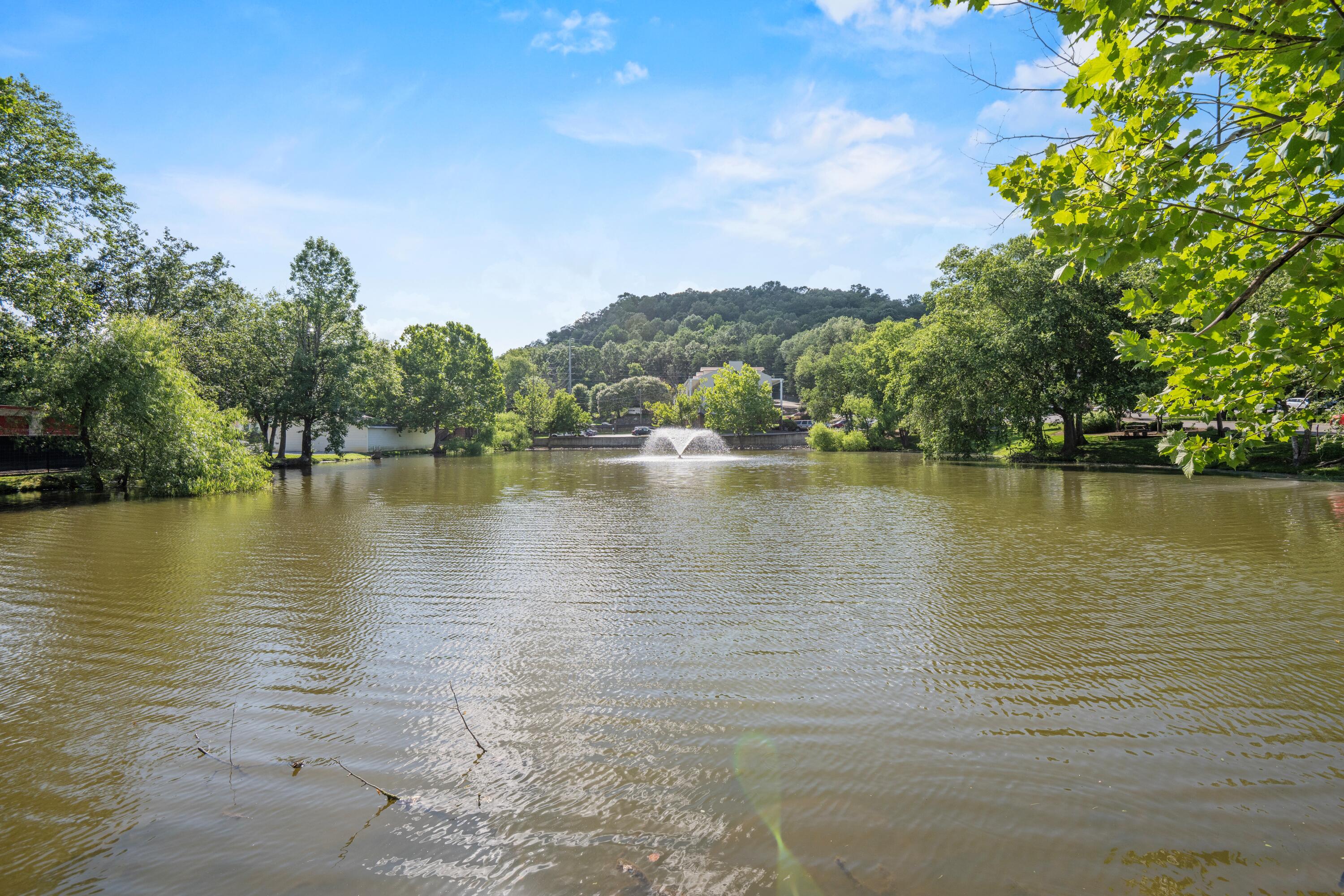 900 Mountain Creek Road, E66