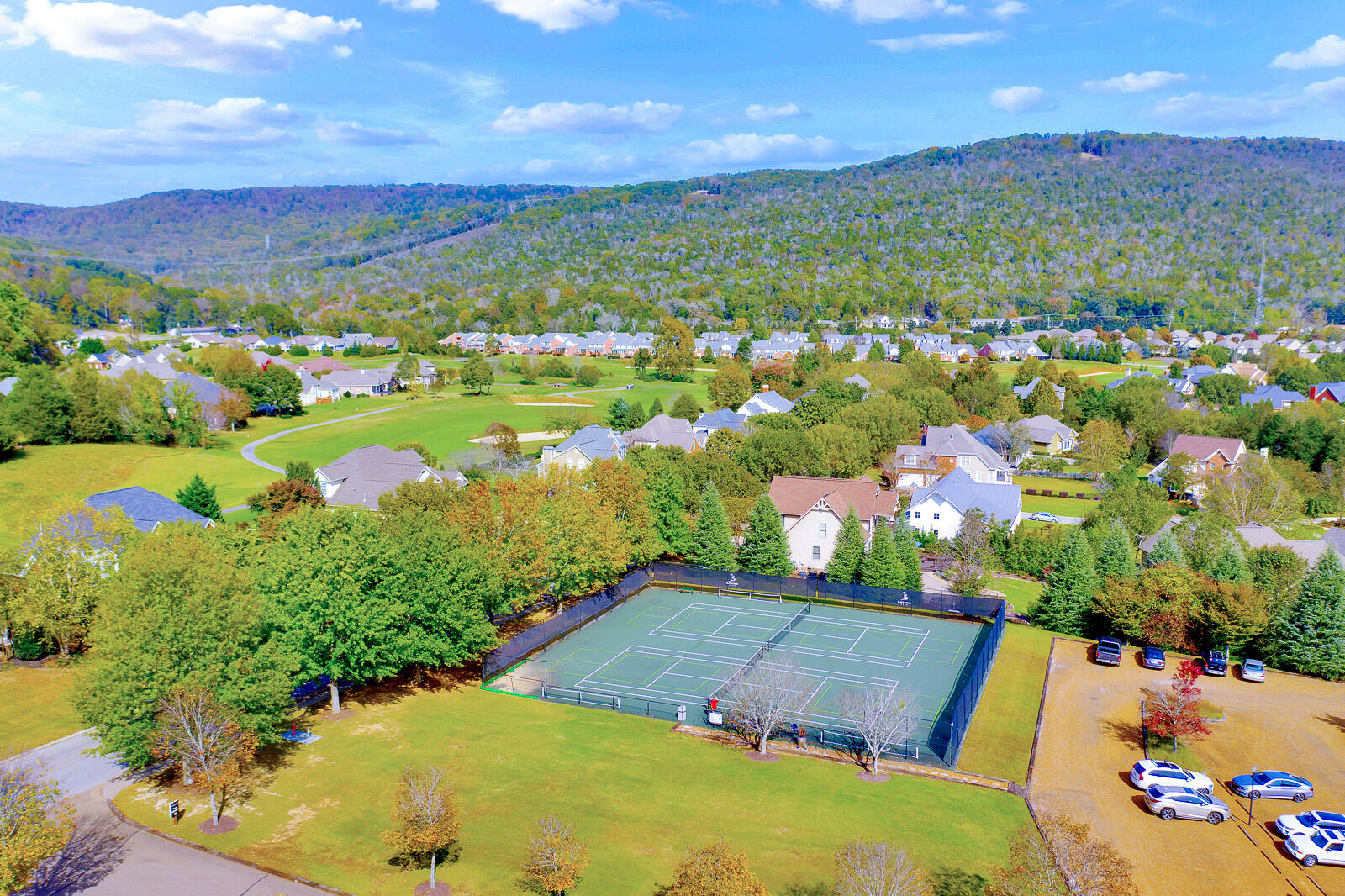 603 Alston Drive, 77