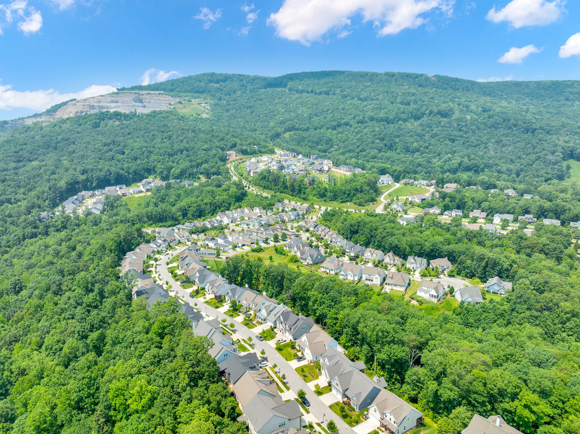 603 Alston Drive, 77