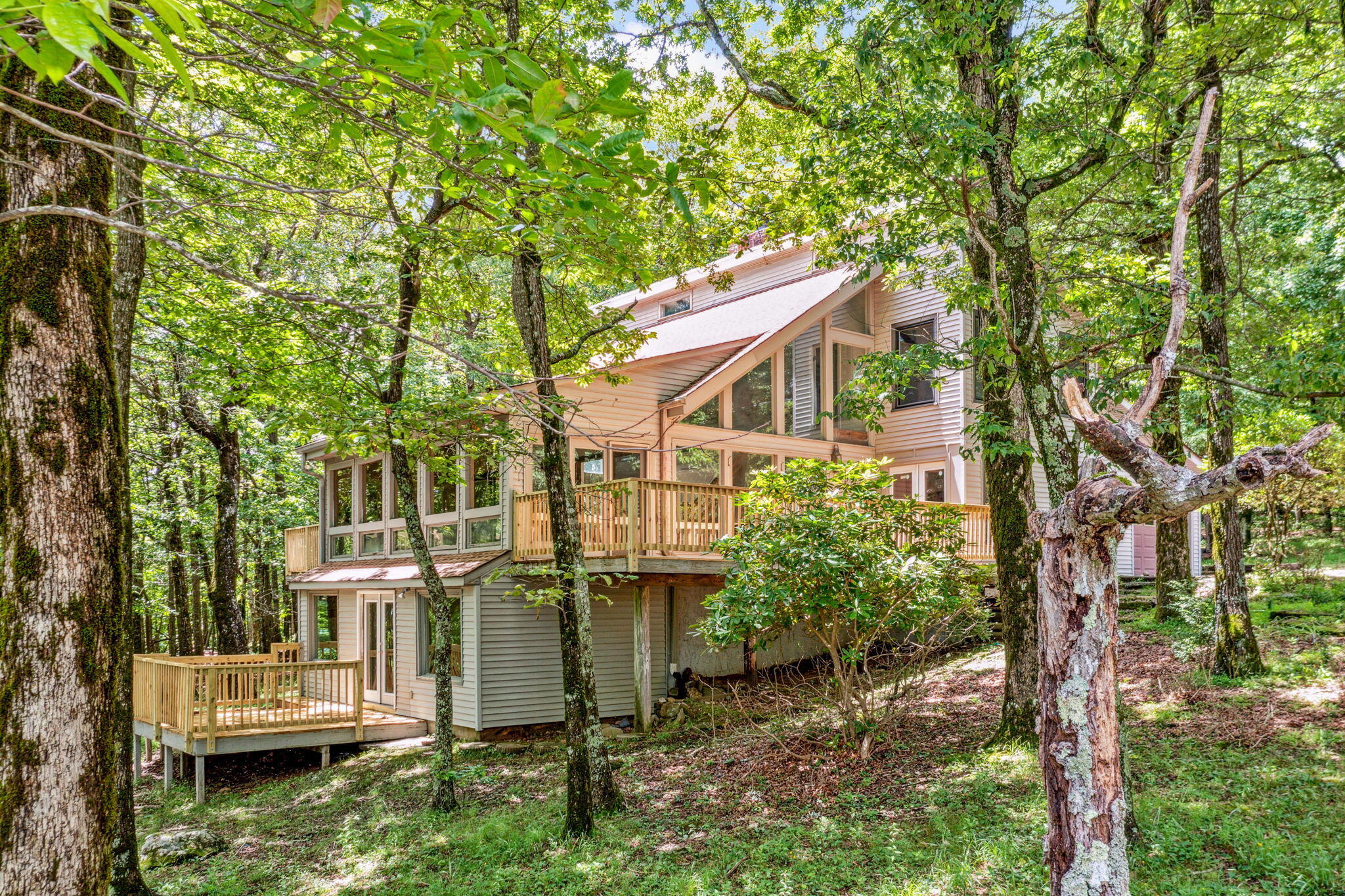 507 Big Stump Mountain Trail