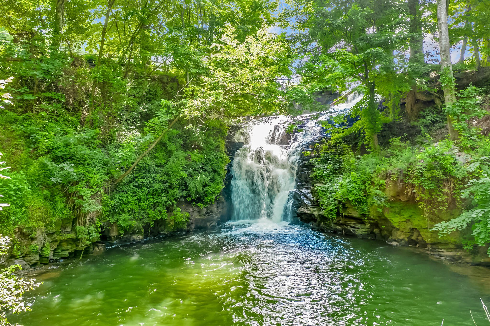 507 Big Stump Mountain Trail