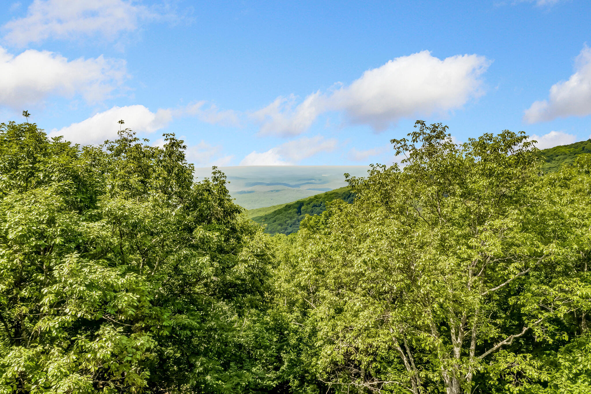 507 Big Stump Mountain Trail