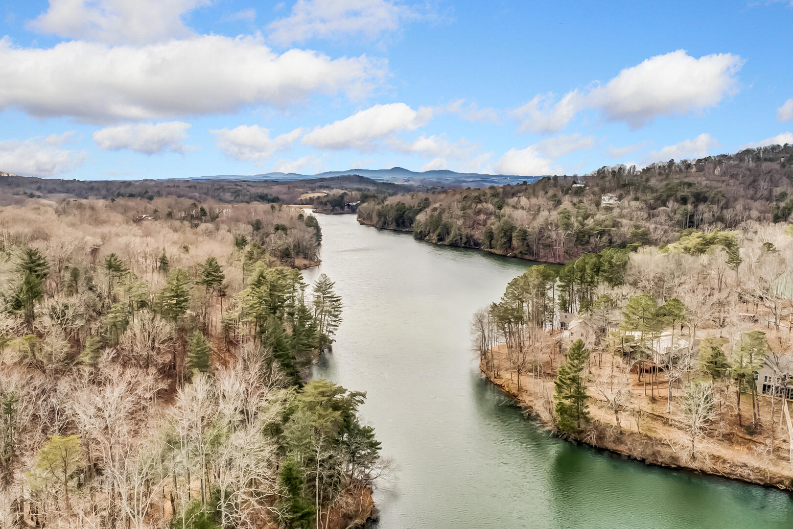 507 Big Stump Mountain Trail
