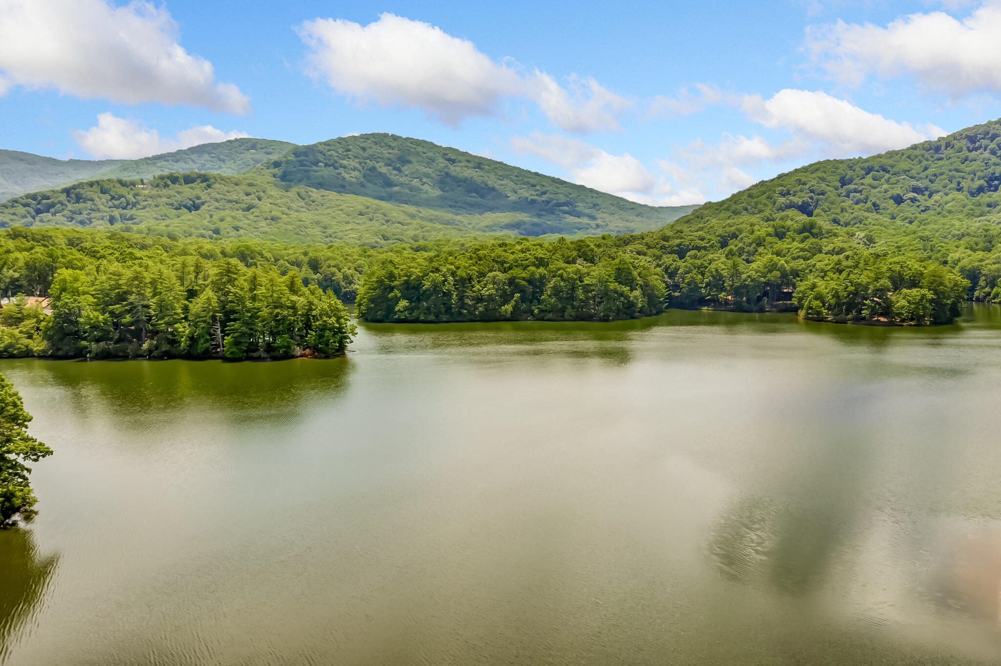 507 Big Stump Mountain Trail