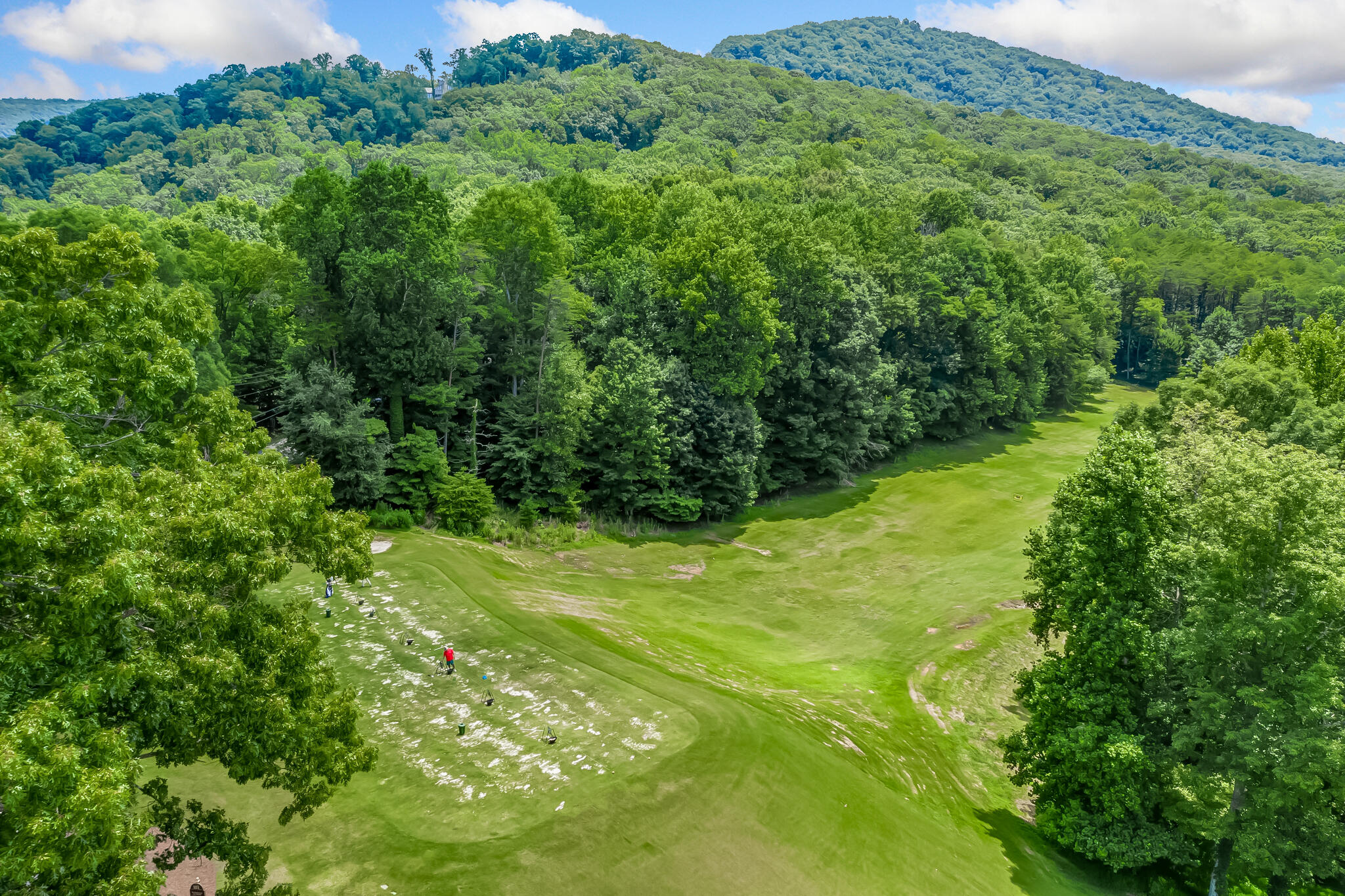 507 Big Stump Mountain Trail