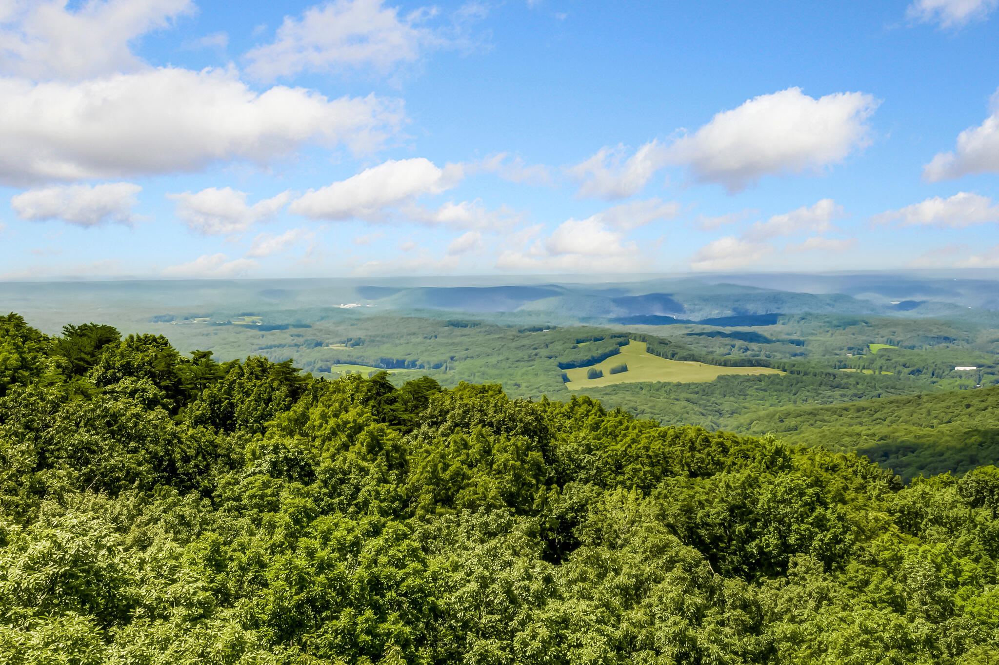 507 Big Stump Mountain Trail