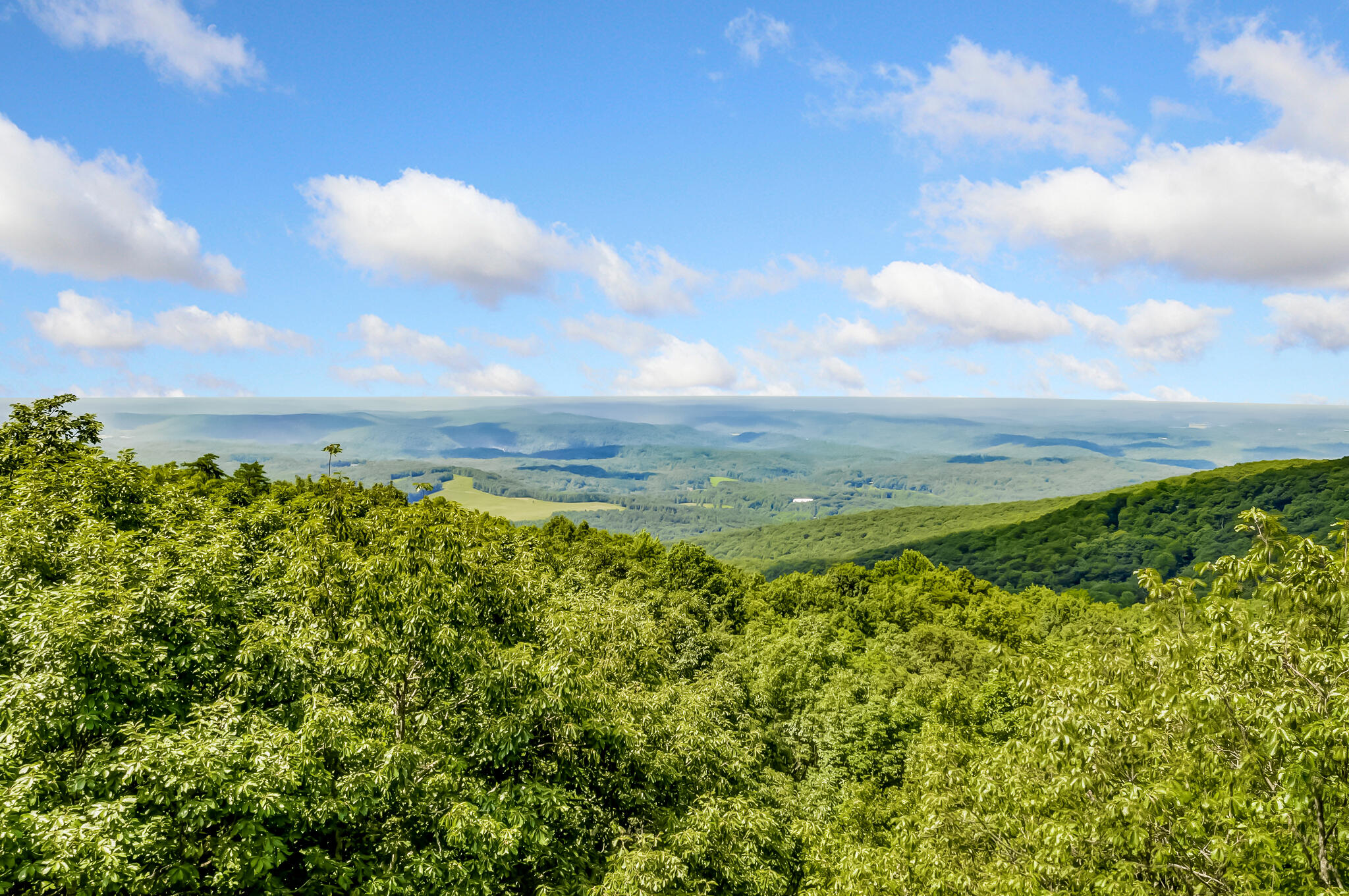 507 Big Stump Mountain Trail