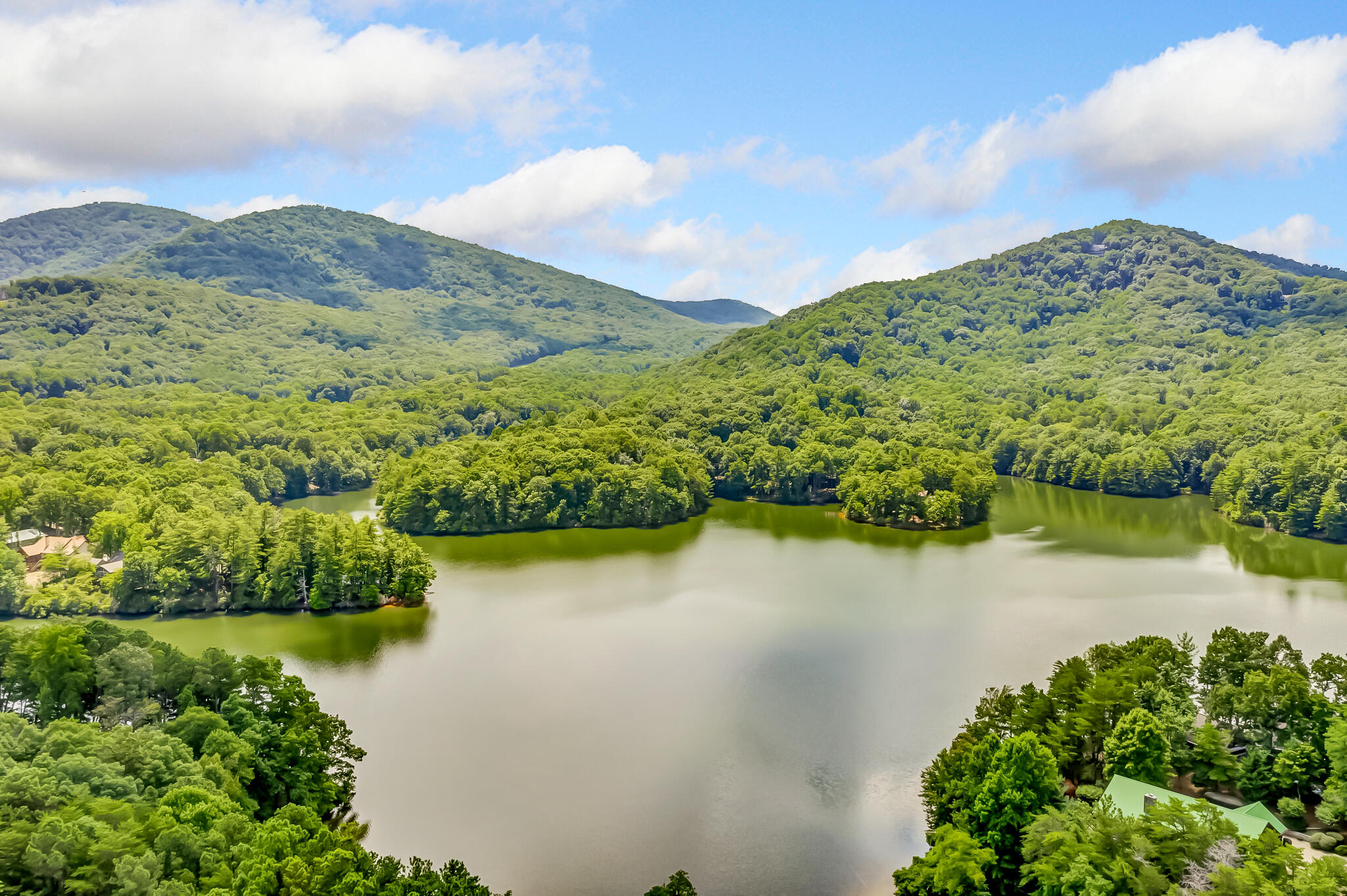 507 Big Stump Mountain Trail