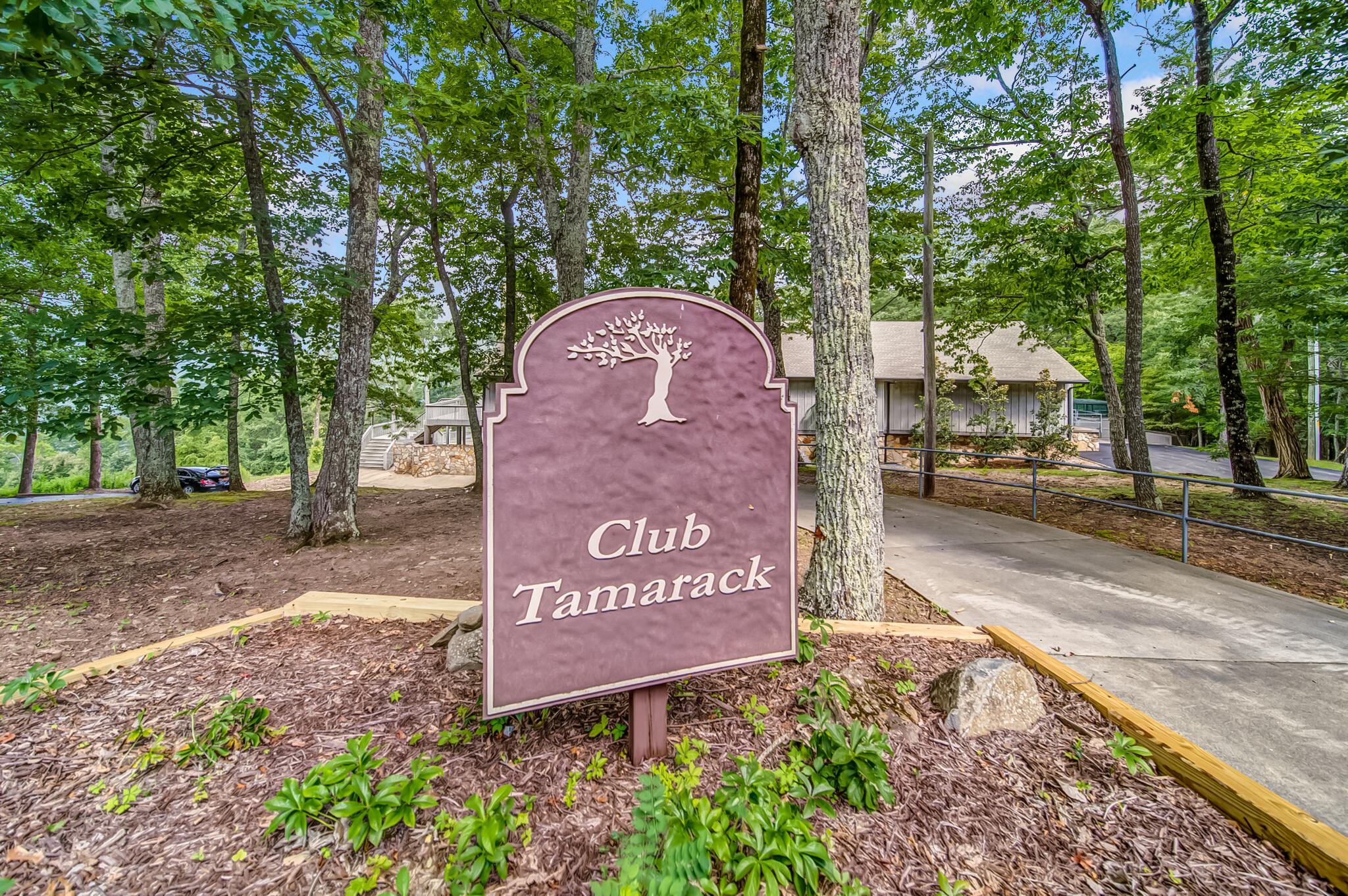 507 Big Stump Mountain Trail