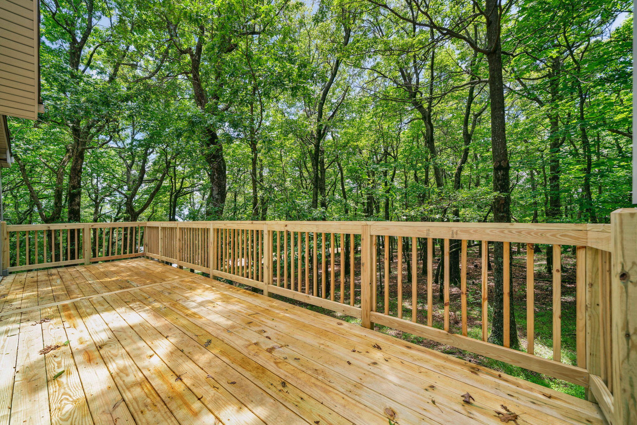 507 Big Stump Mountain Trail