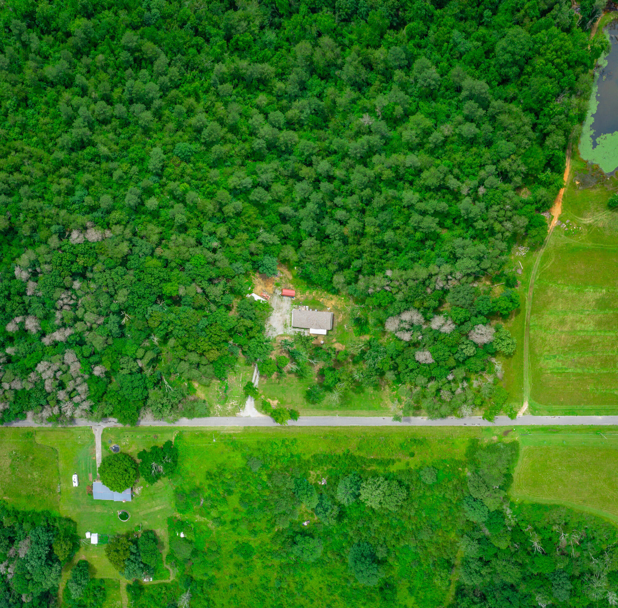 287 County Road 431