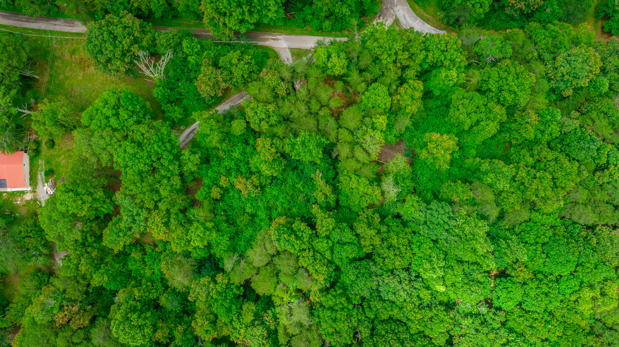 1054 Myers Hill Road, Lot #1
