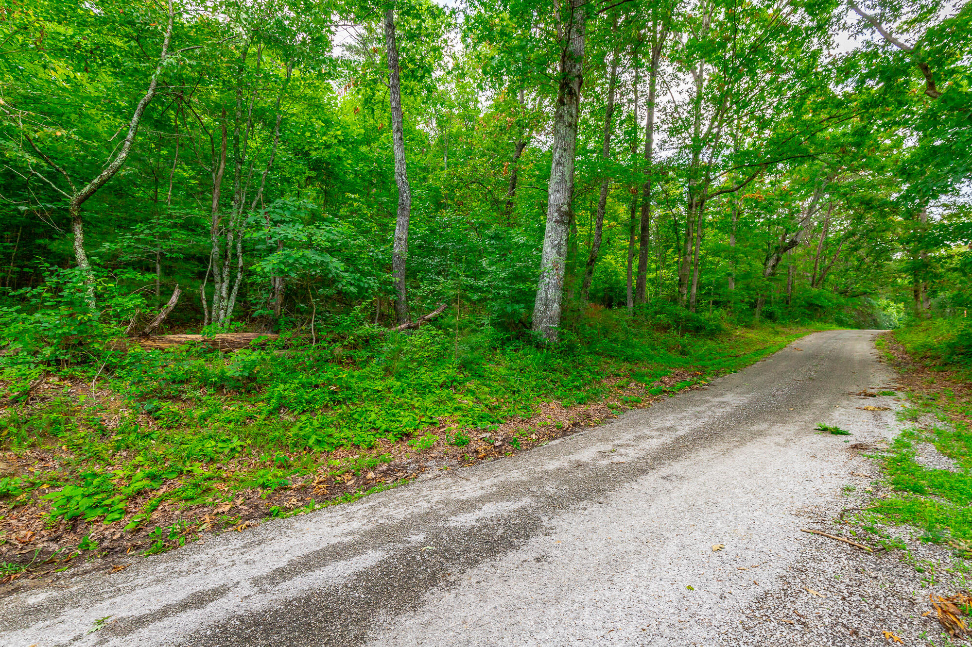 1054 Myers Hill Road, Lot #1