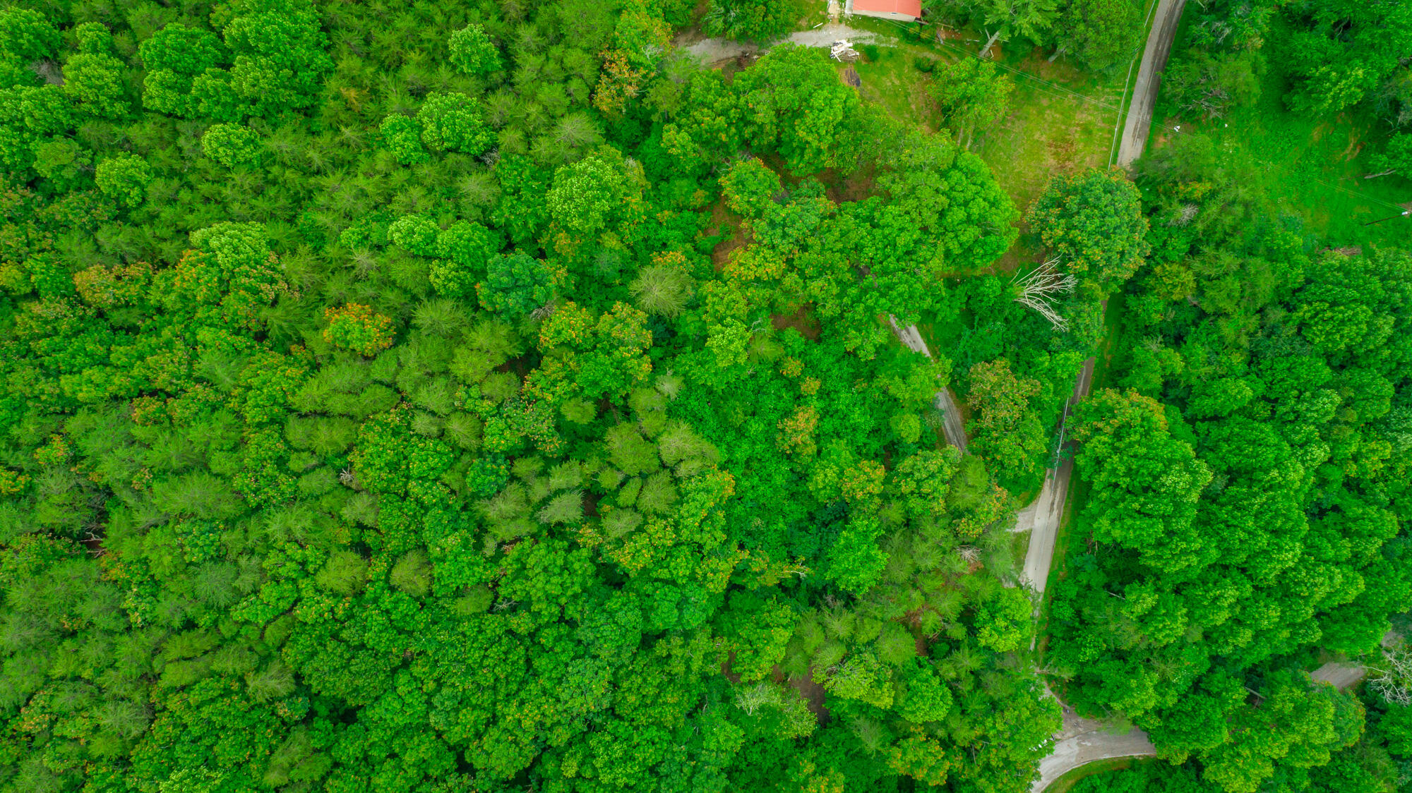 1054 Myers Hill Road, Lot #1
