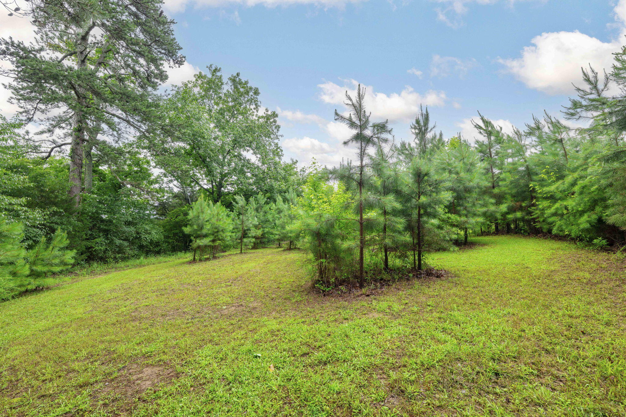 178 Cheshire Crossing Drive