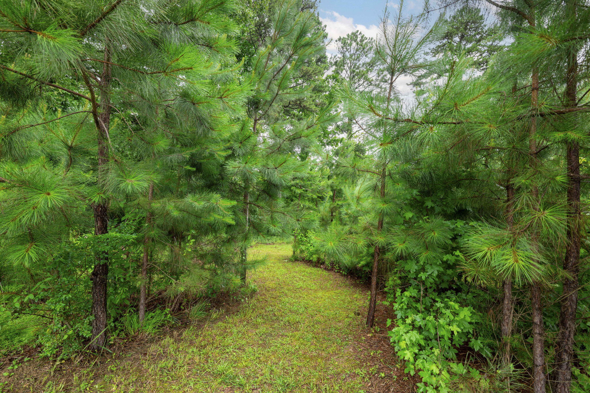 178 Cheshire Crossing Drive