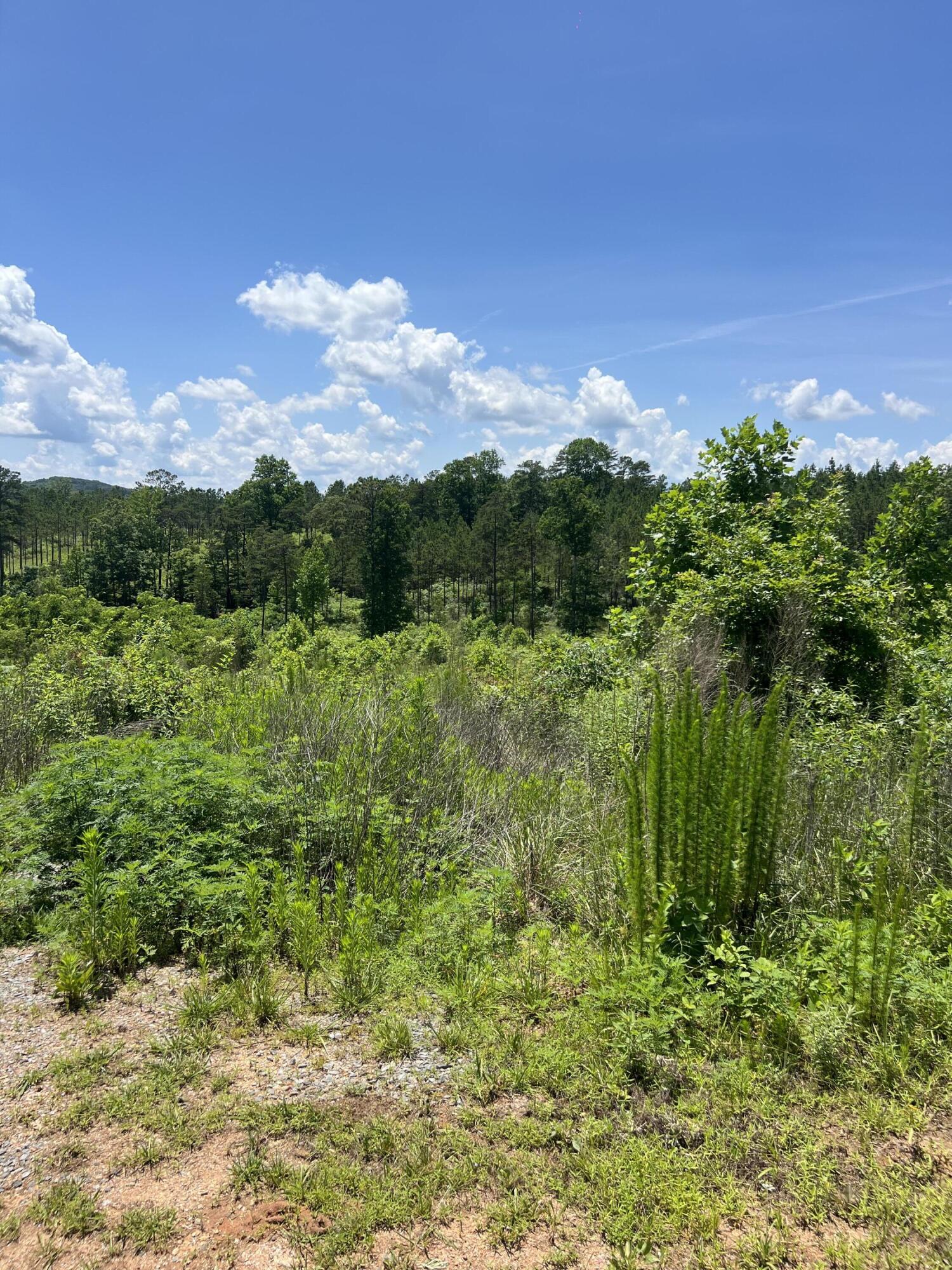0 Highgrove Drive, Lot #265
