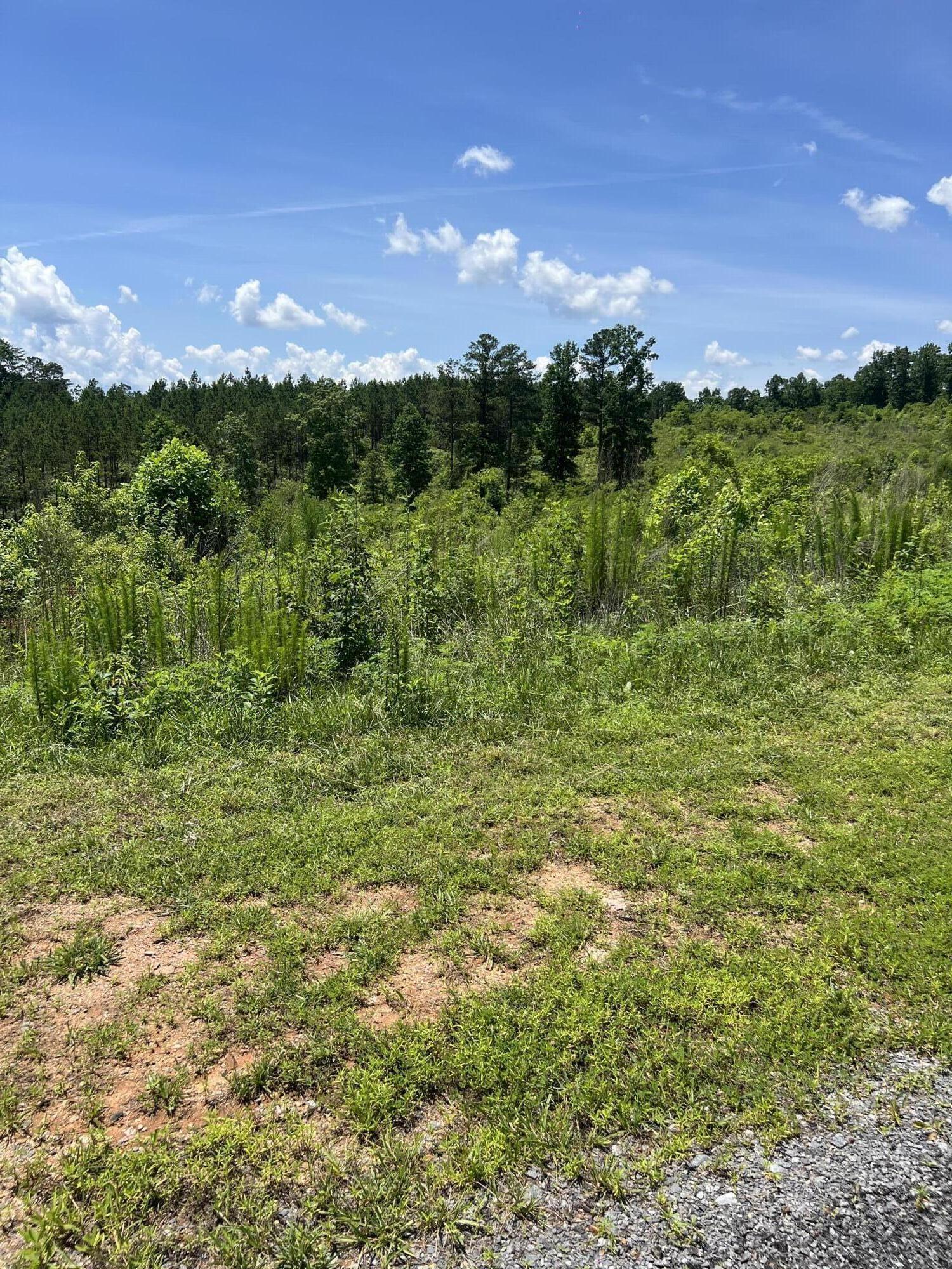 0 Highgrove Drive, Lot #265