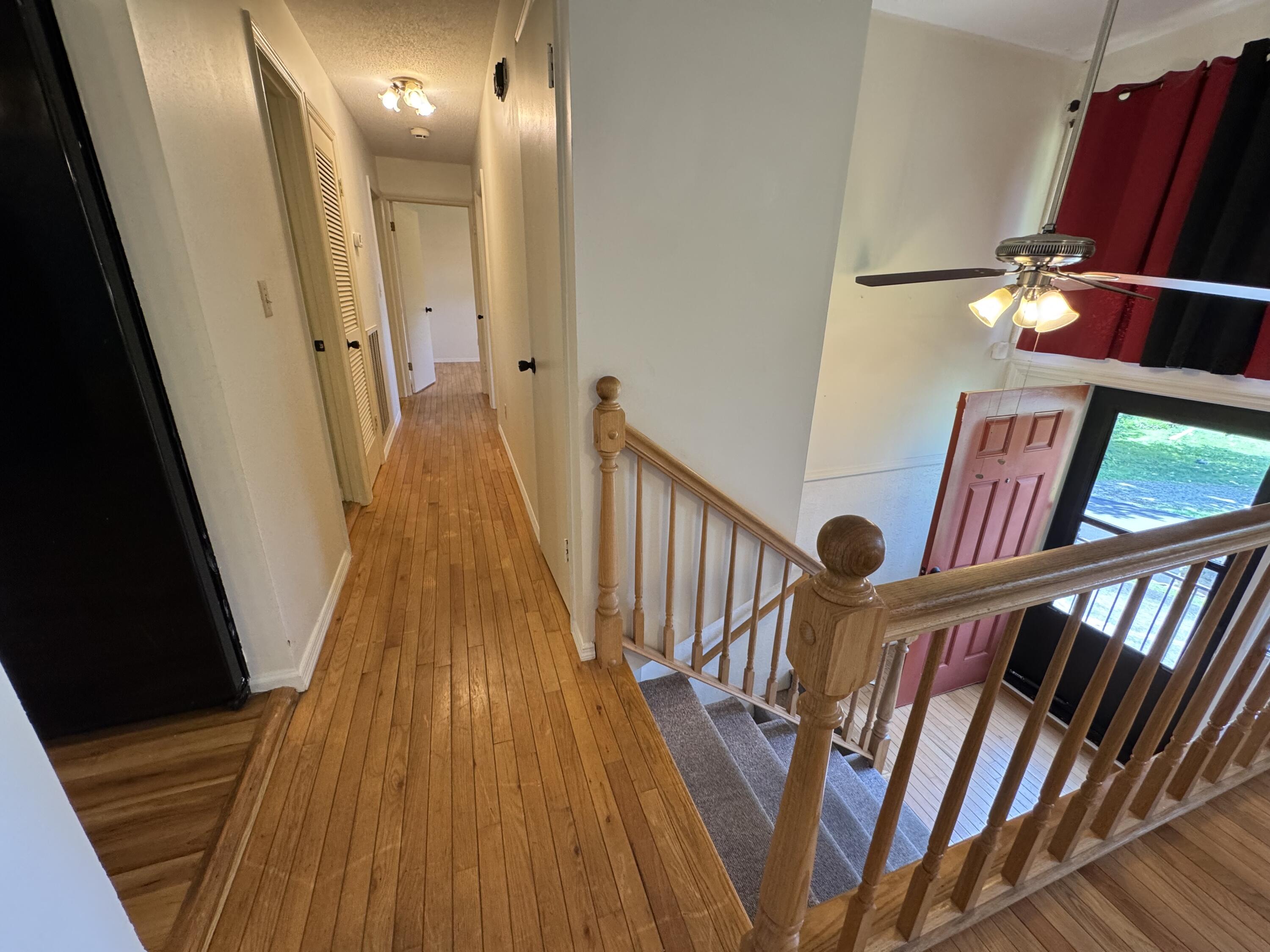 311 Branch Drive